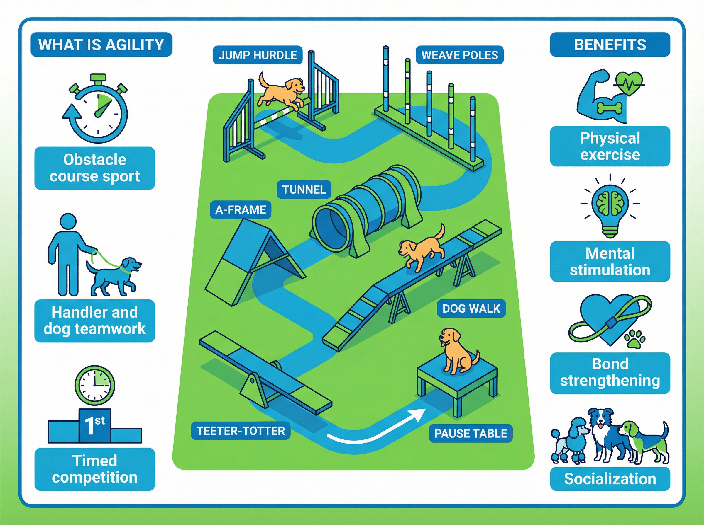 ドッグアジリティとは？