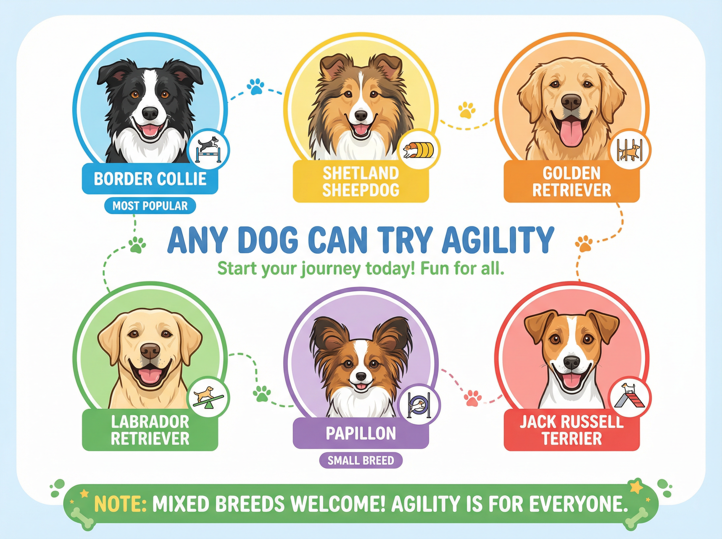 アジリティに向いている犬種