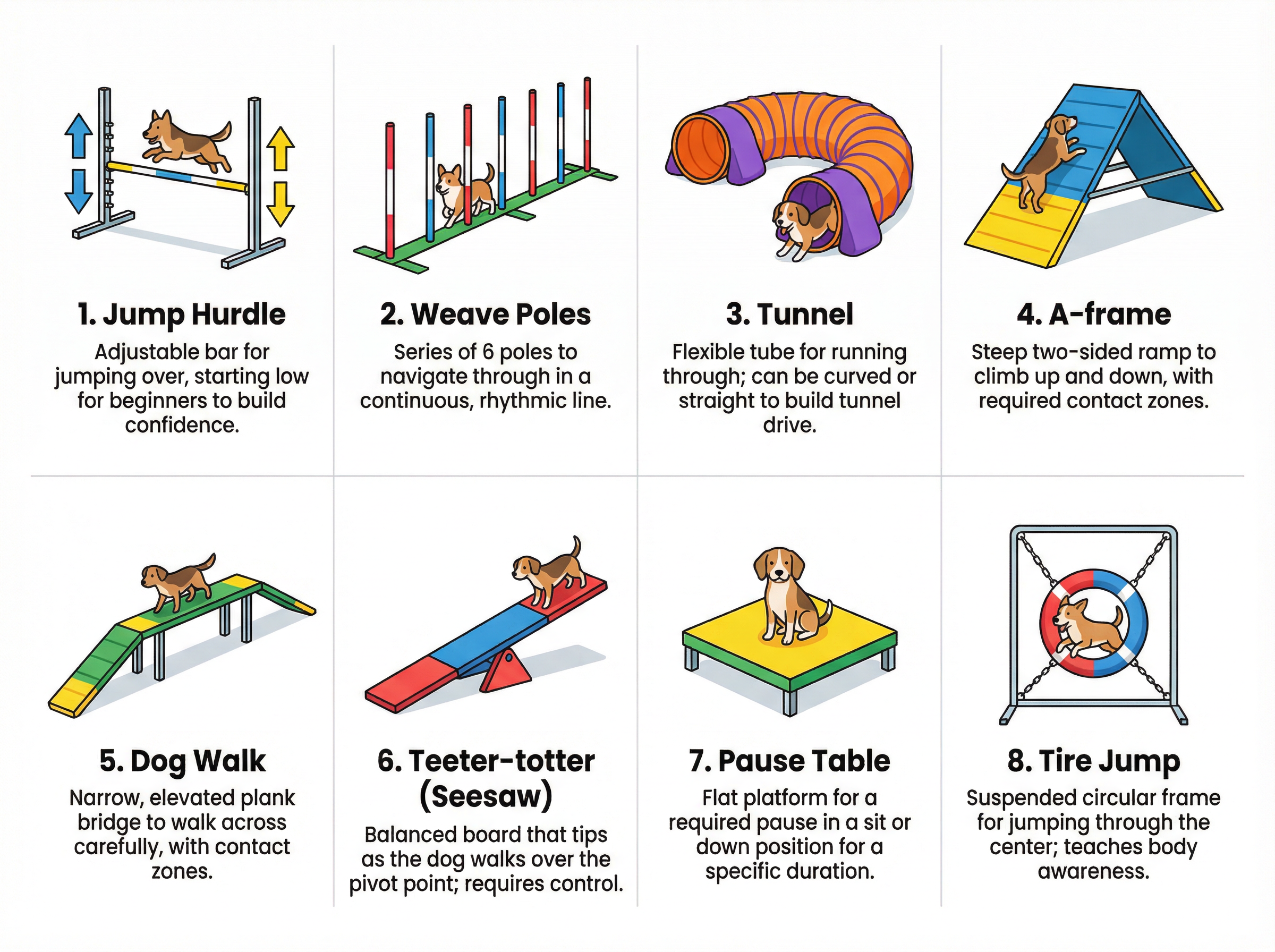 アジリティの主な障害物8選