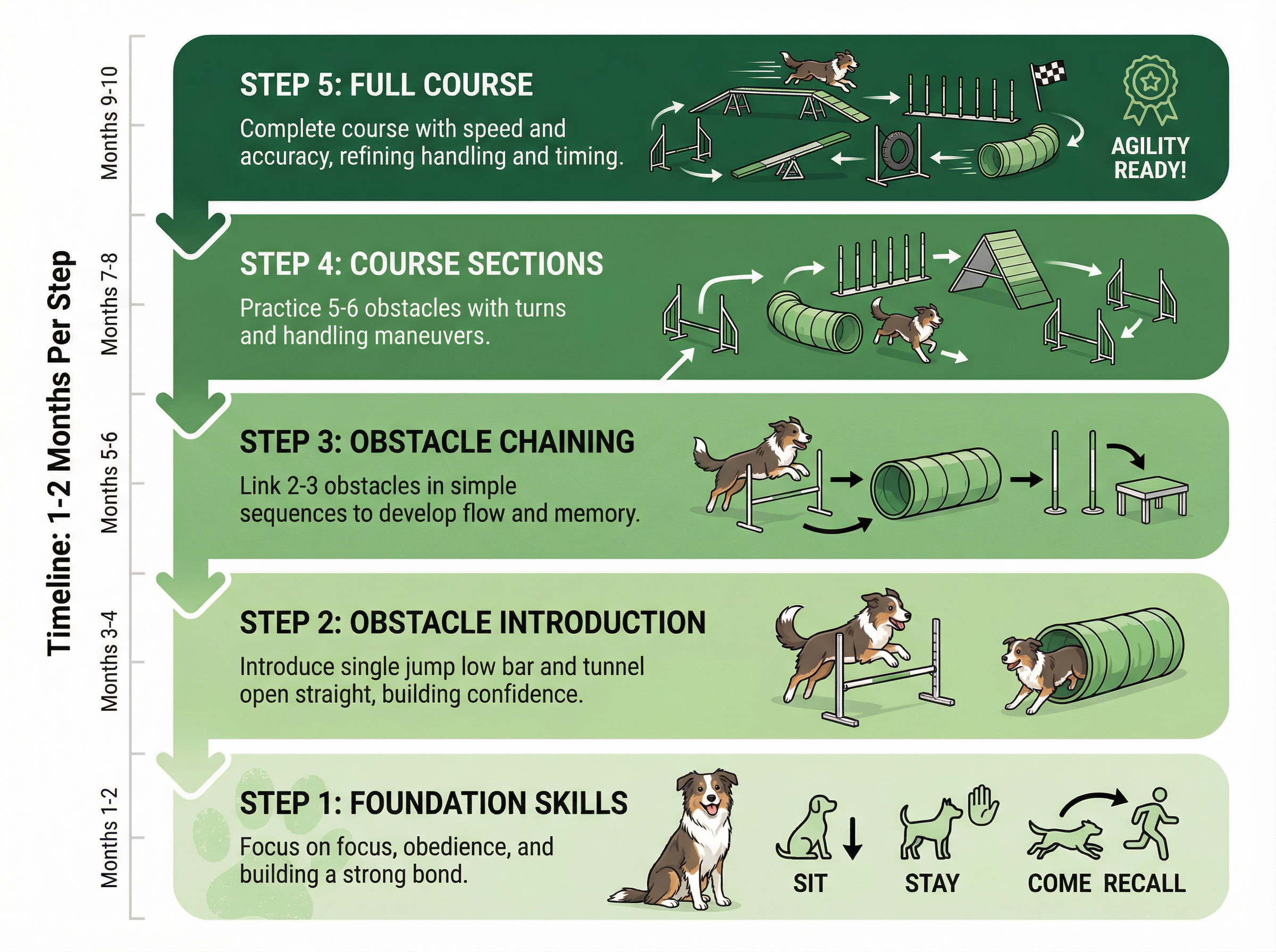 初心者のためのトレーニングステップ
