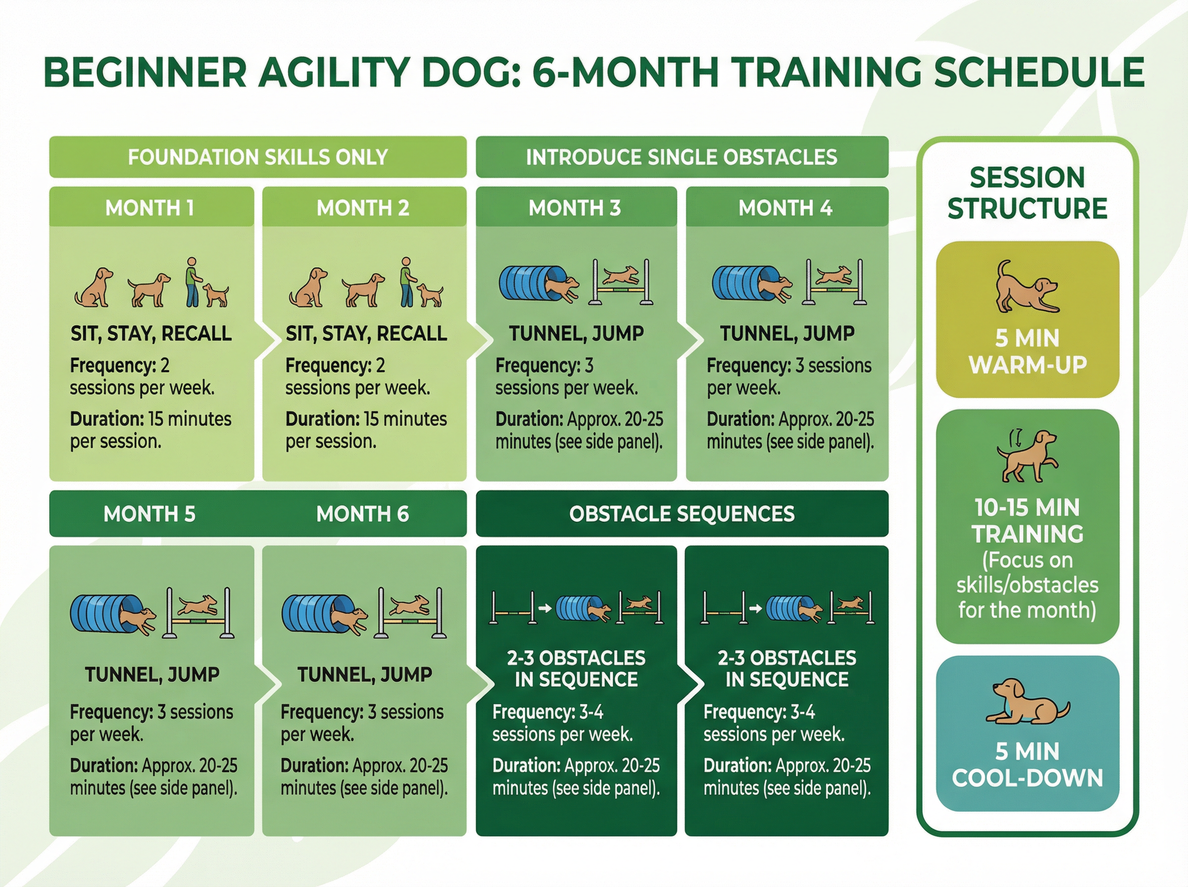 初心者のための6ヶ月トレーニングスケジュール