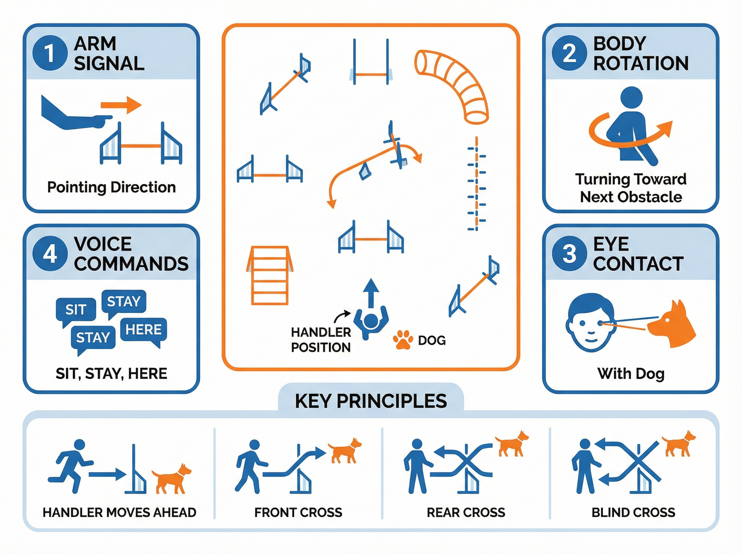 ハンドラーのコミュニケーション術