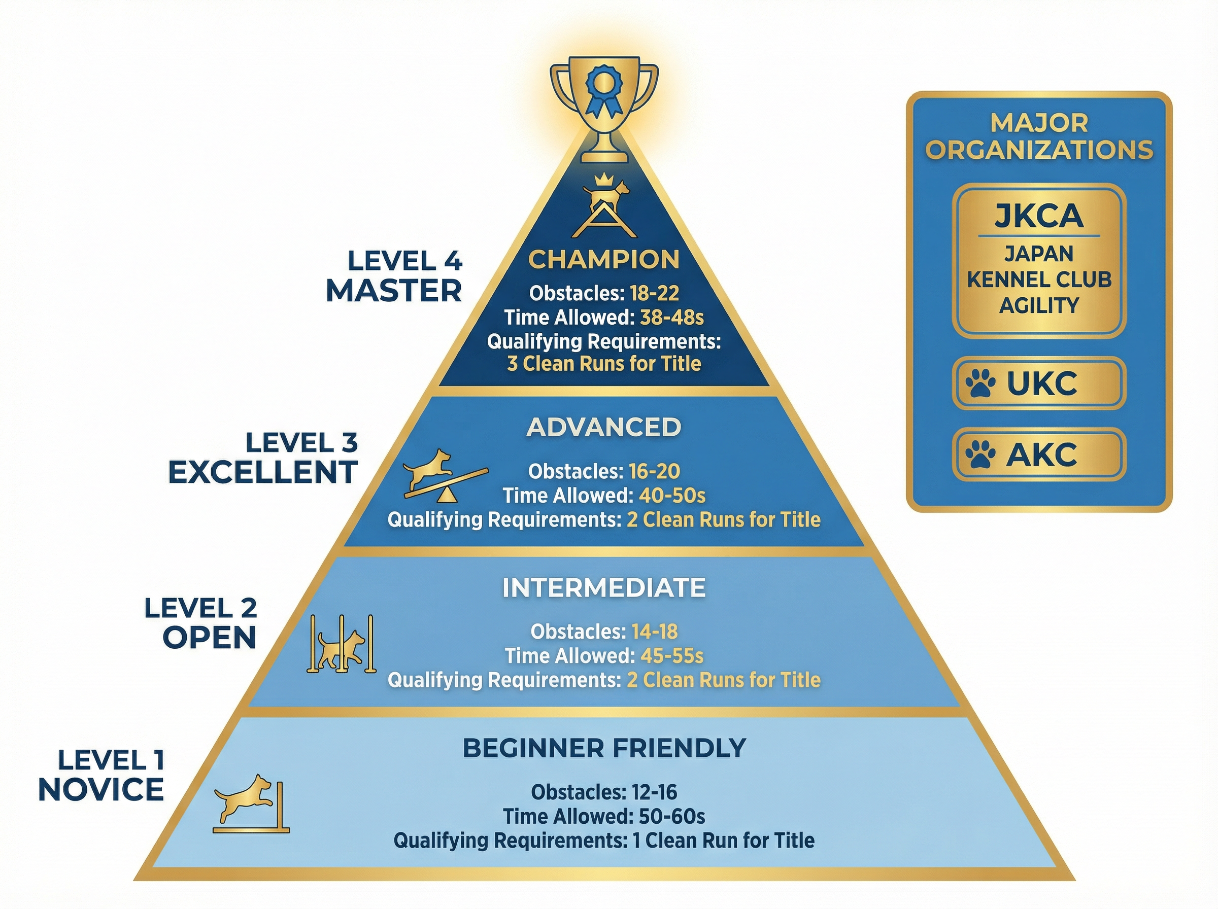 アジリティの競技レベルとタイトル
