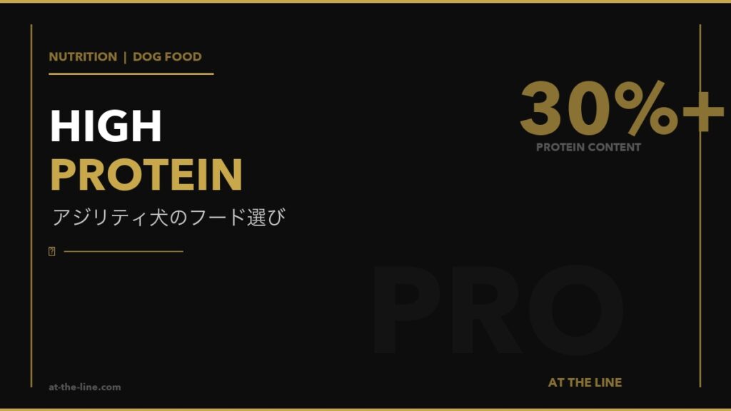 アジリティ犬向けドッグフード10選｜高タンパク比較