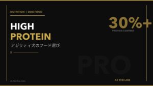 アジリティ犬向けドッグフード10選｜高タンパク比較