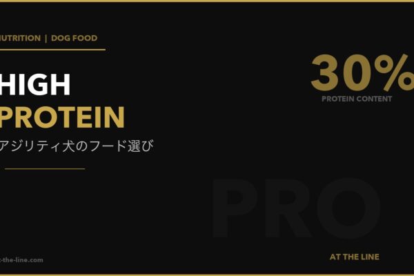 アジリティ犬向けドッグフード10選｜高タンパク比較