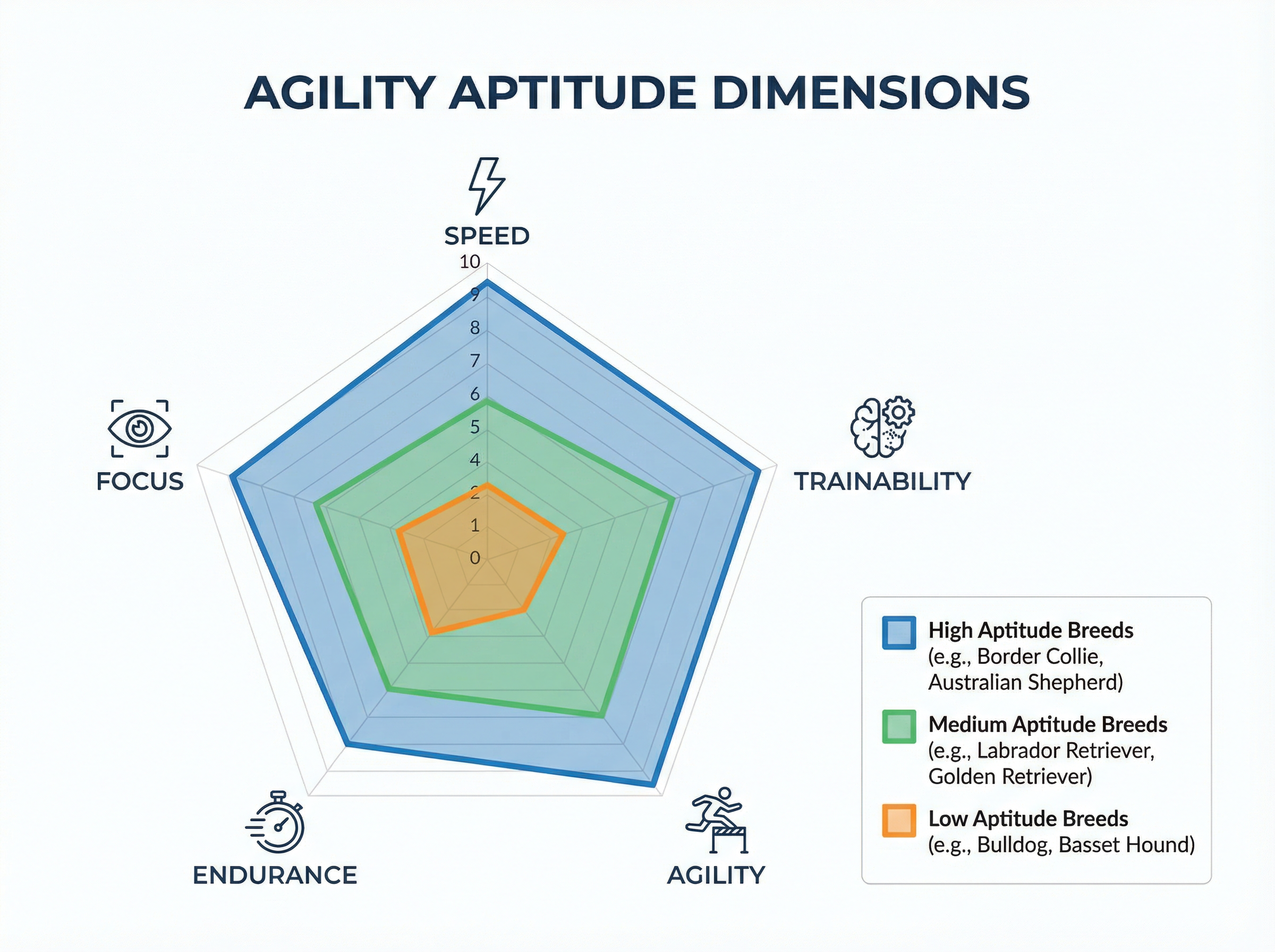 アジリティ適性の評価基準
