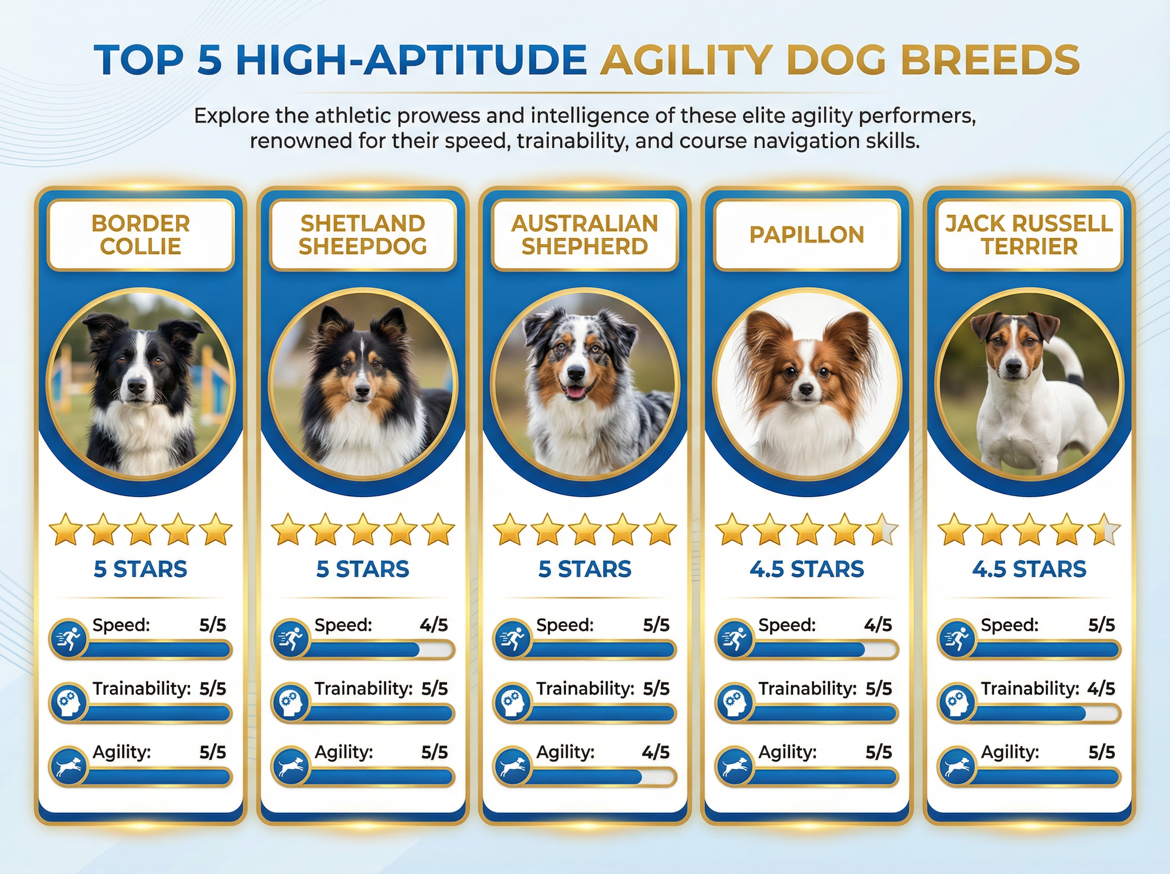 【適性：高】トップ5犬種