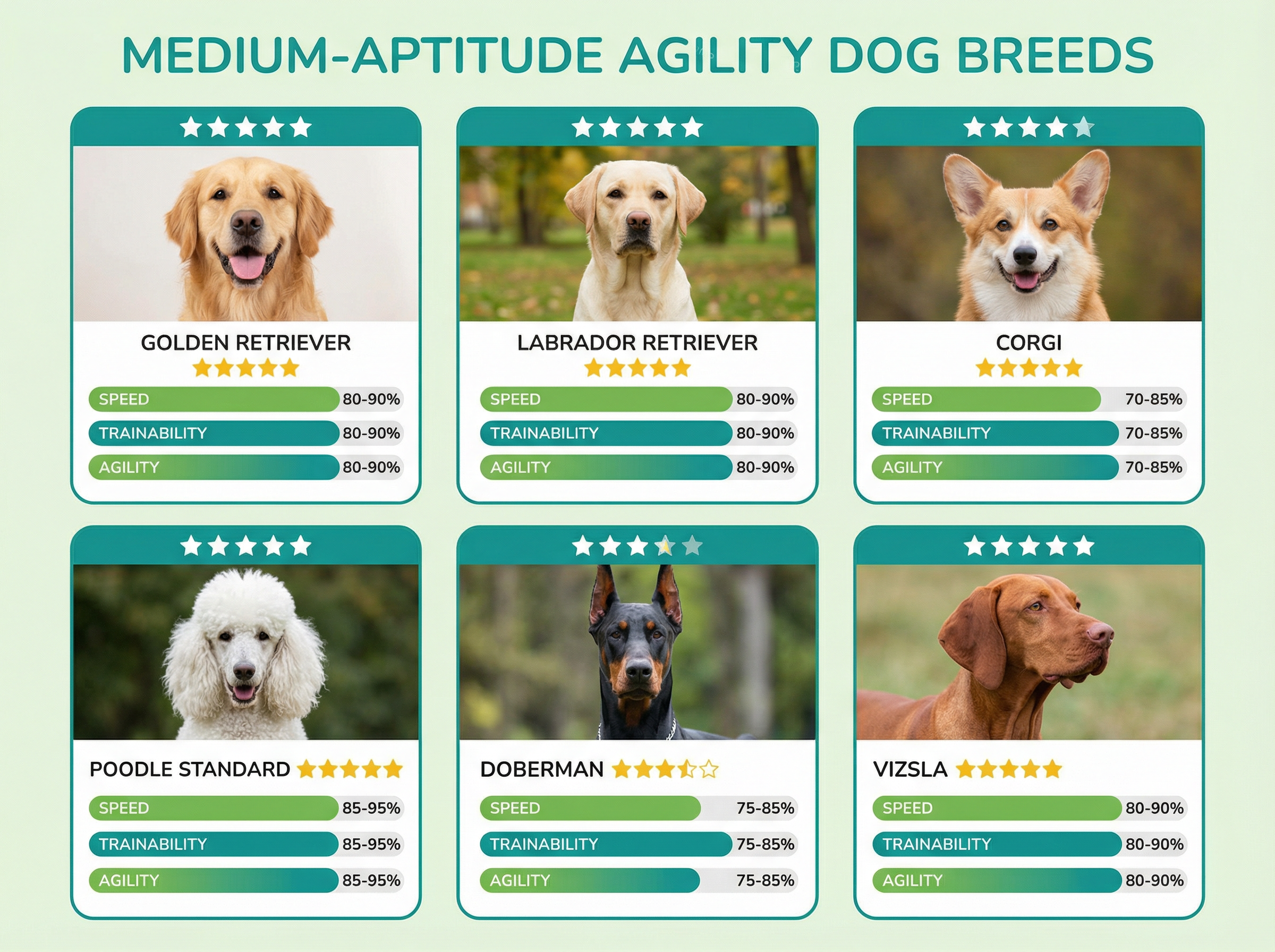 【適性：中】な犬種たち