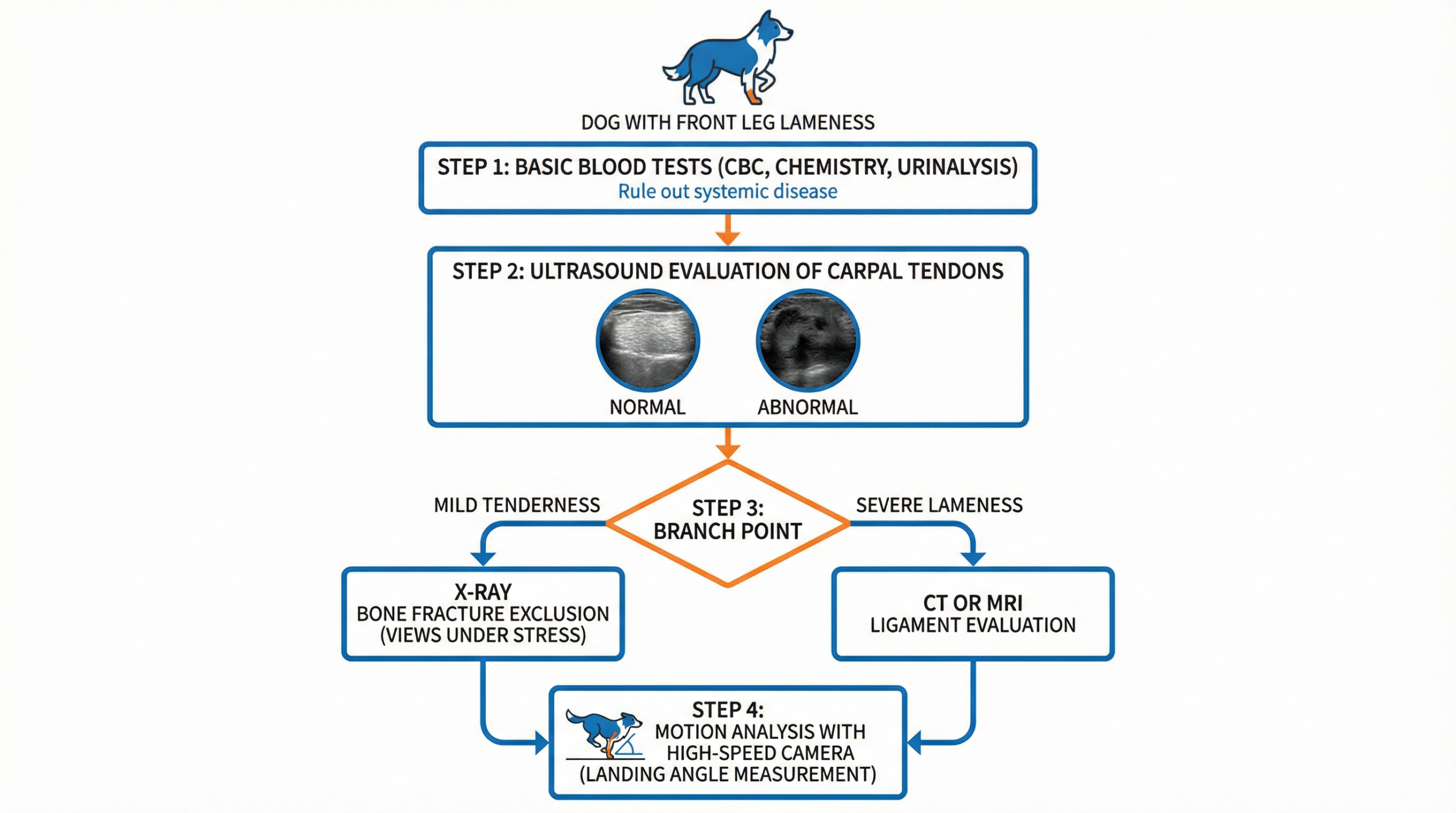 診断フローチャート（超音波・X線・CT/MRI）