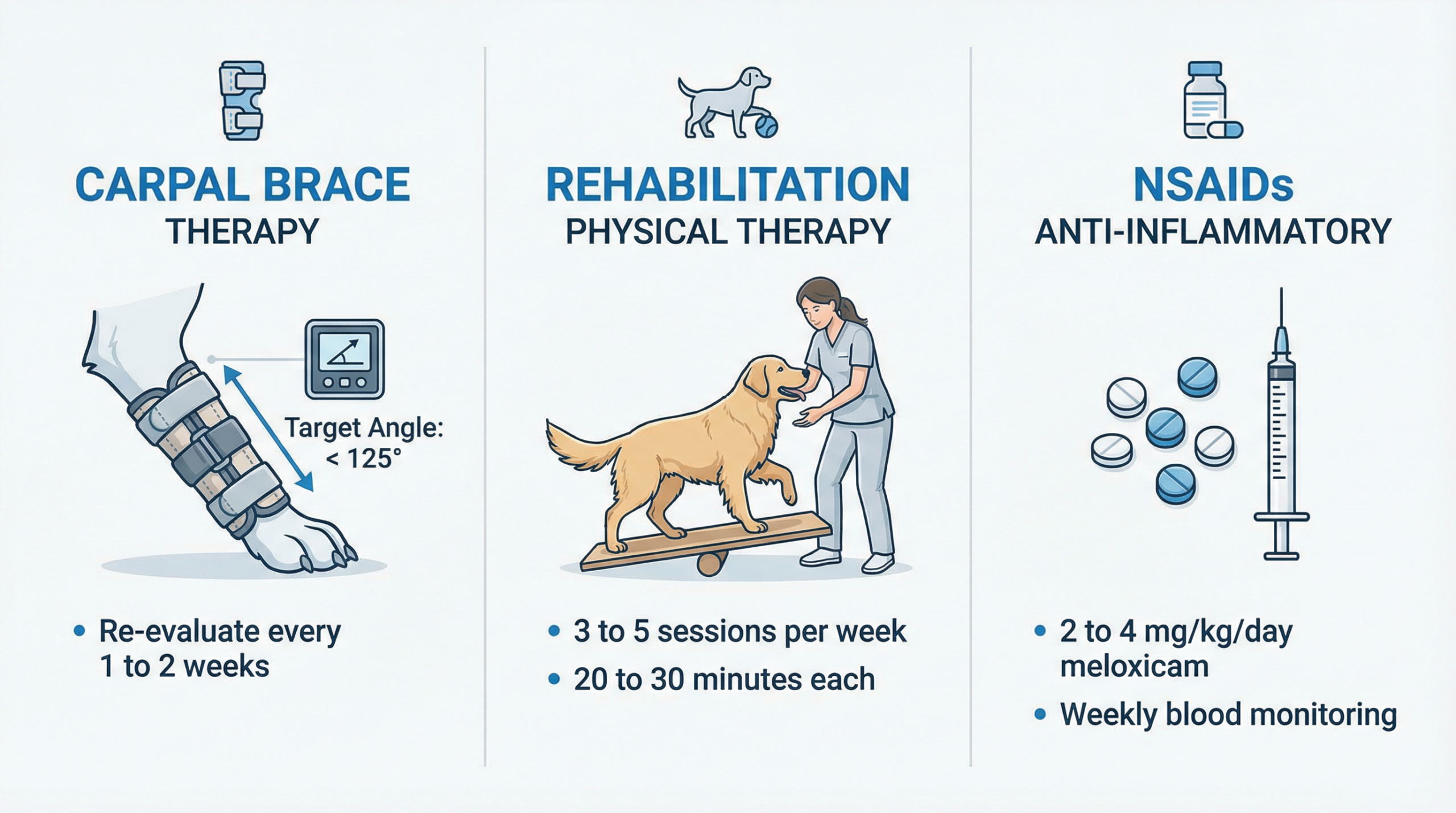 治療オプション3種（装具療法・リハビリ・NSAIDs）