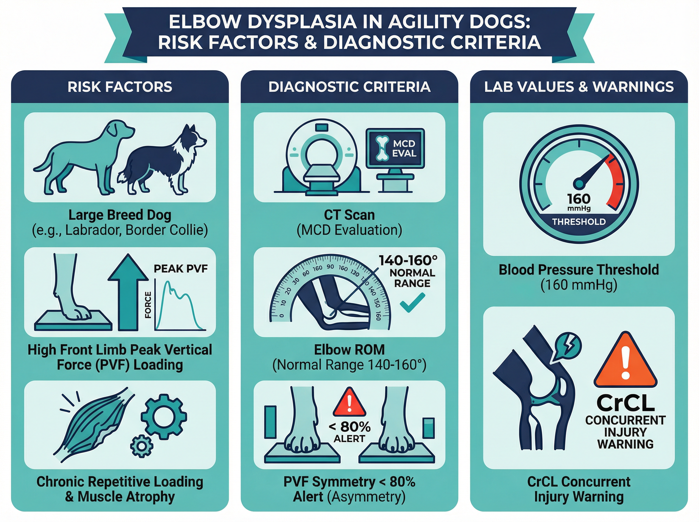 肘関節形成不全のリスク因子と診断基準