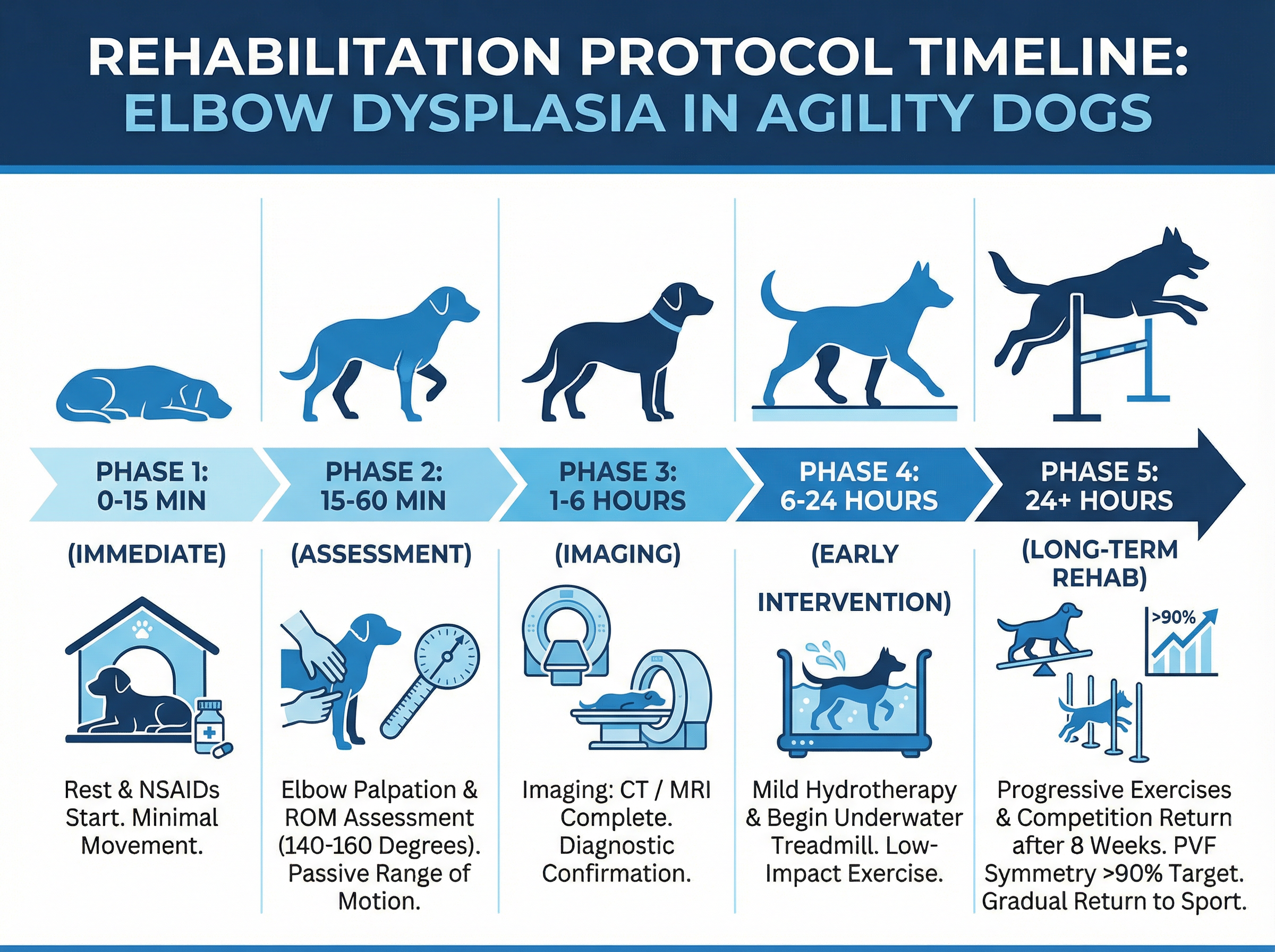 リハビリテーションプロトコルのタイムライン