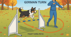 ジャーマンターンの基本と練習方法｜ドッグアジリティのタイトターン技術