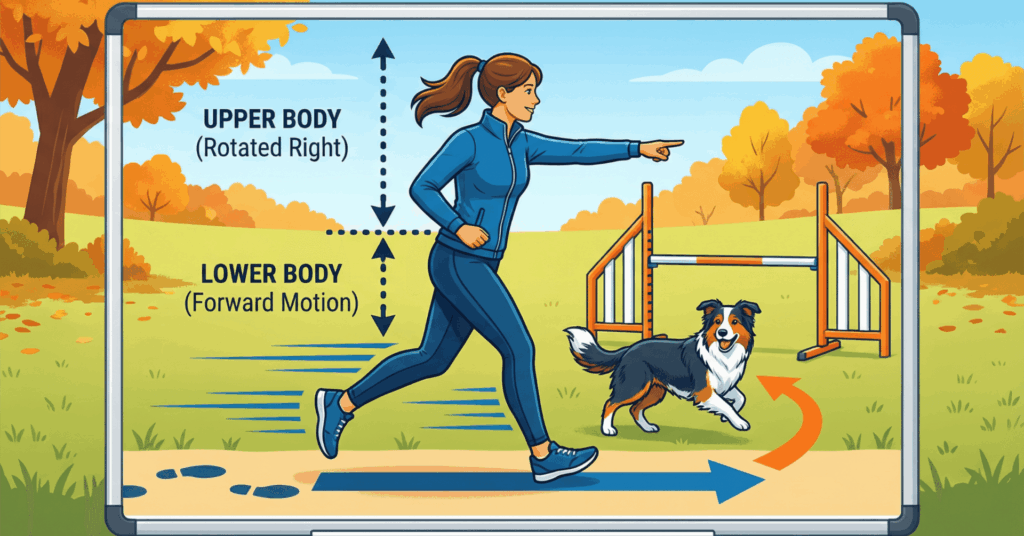 アジリティの身体操作｜上半身と下半身の分離で犬に正確な指示を出す3ステップ