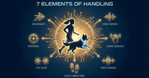 アジリティハンドリングの基礎理論｜すべての技術に通ずる7つの要素