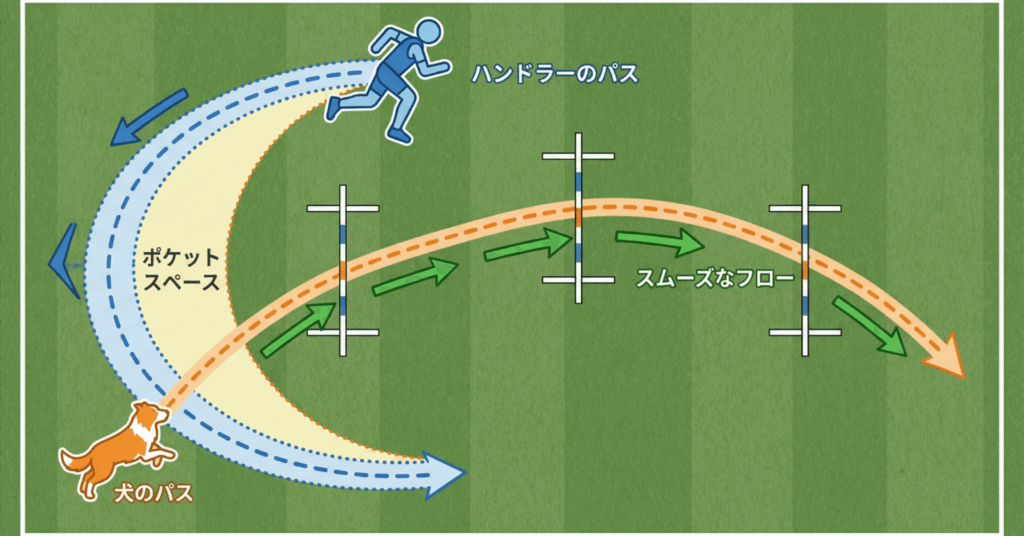 アジリティのポケットとは？犬のライン取りを改善する空間設計テクニック