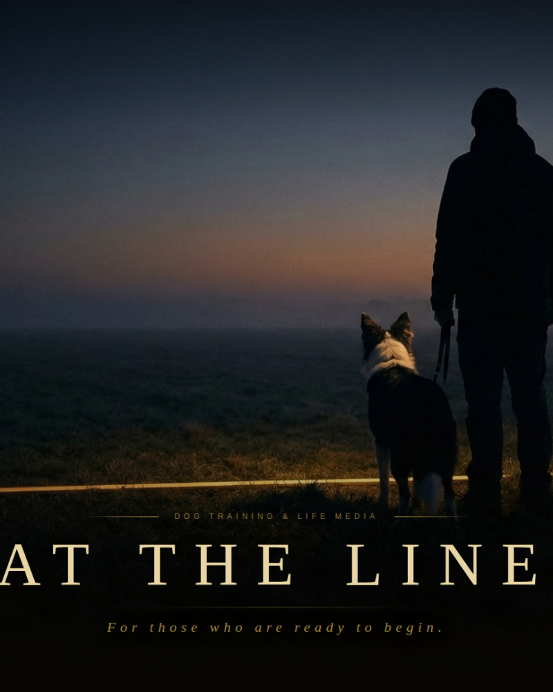 AT THE LINE — スタートラインに立つ、すべてのパートナーへ