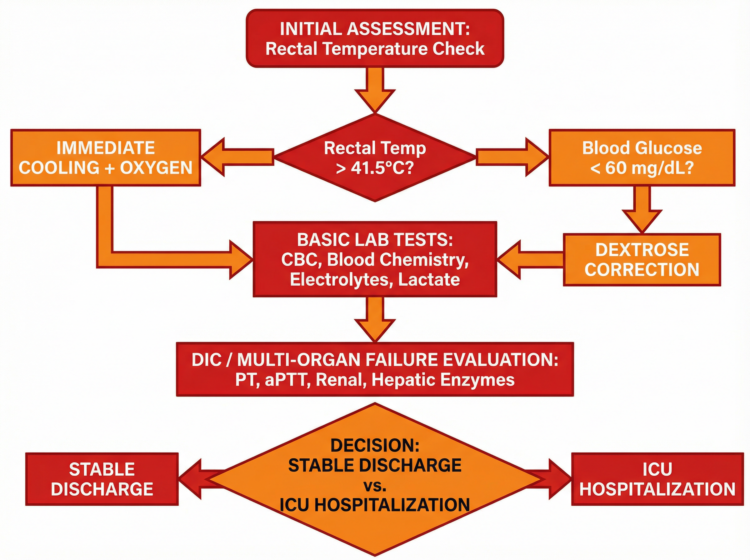 熱中症の診断・治療フローチャート