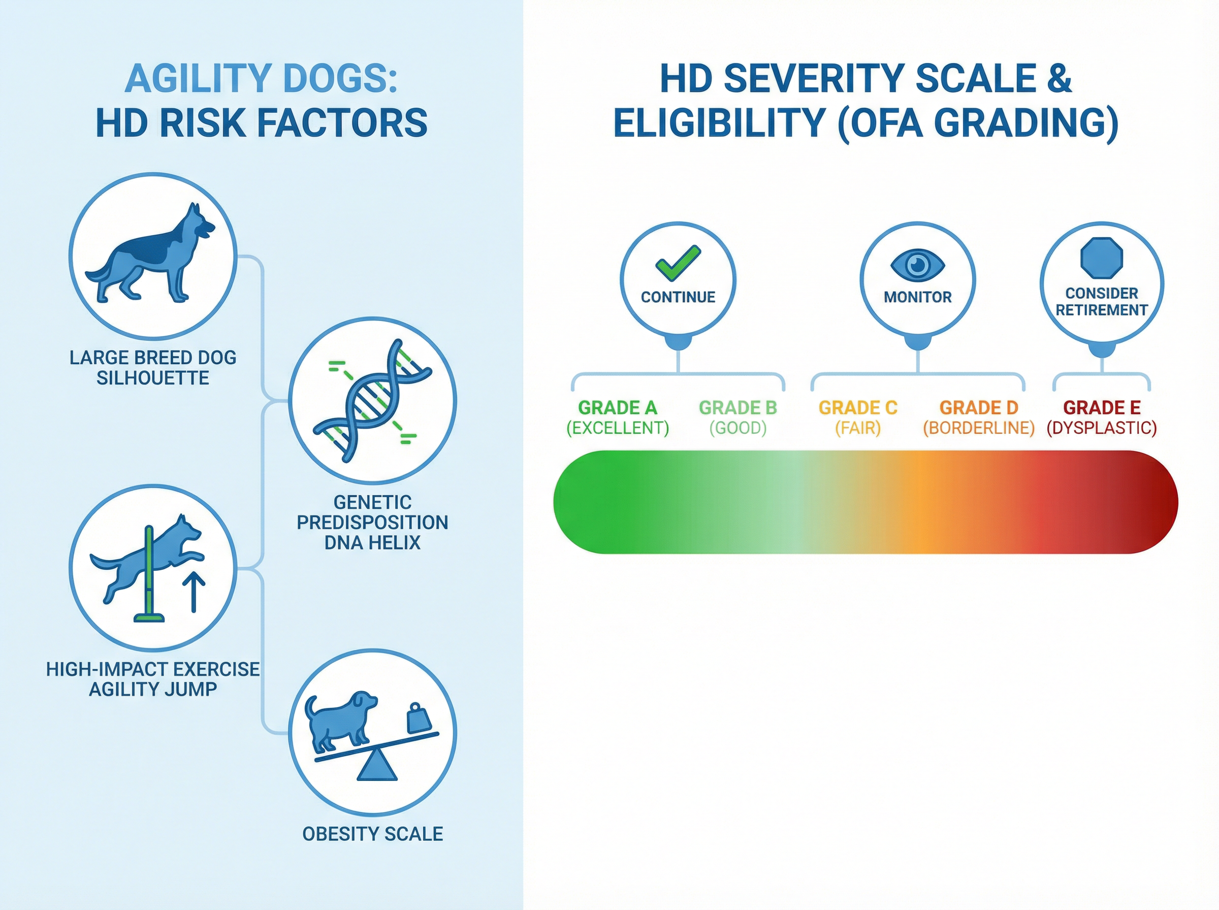 HDのリスク因子と重症度スケール