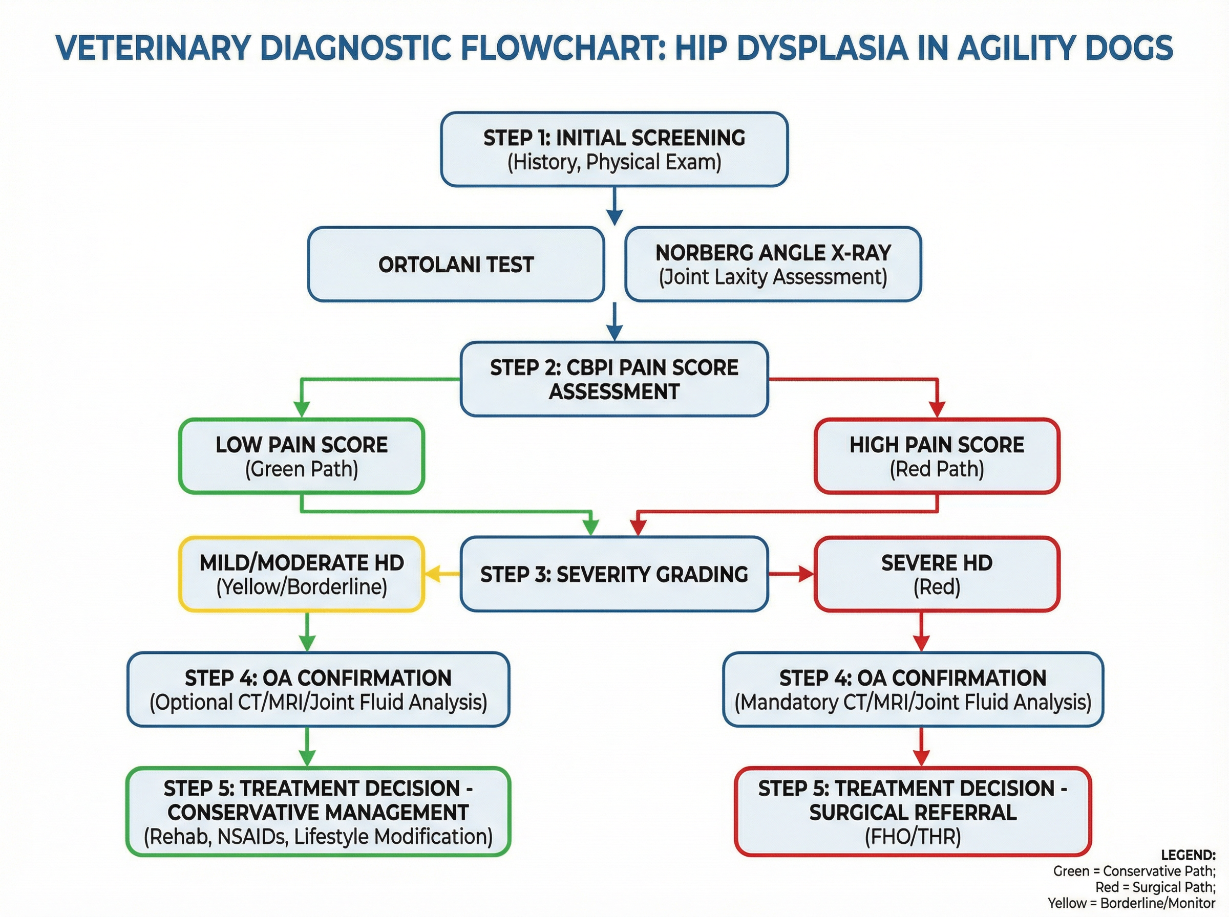 股関節形成不全の診断フローチャート