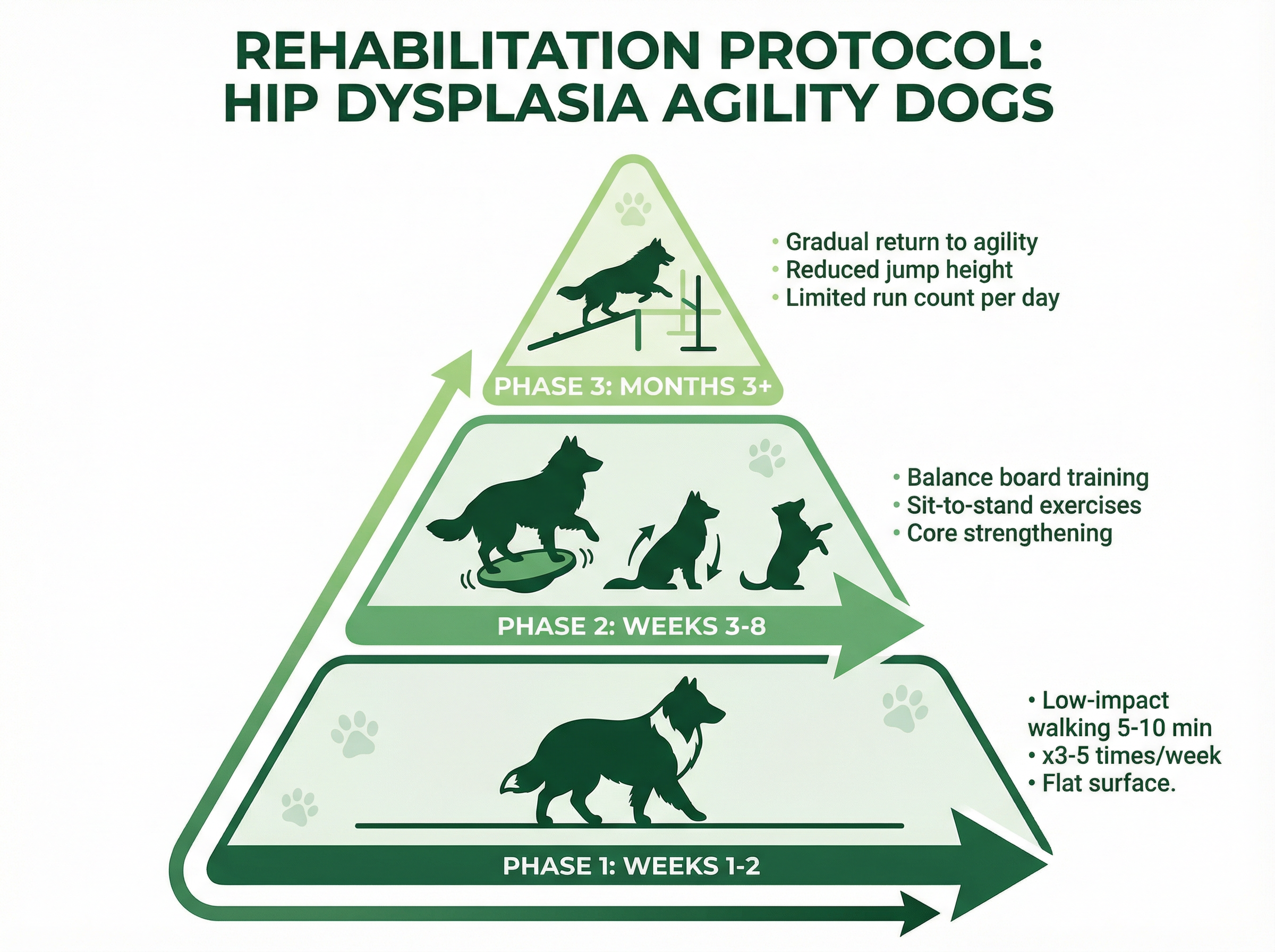 リハビリテーションプロトコルのピラミッド図