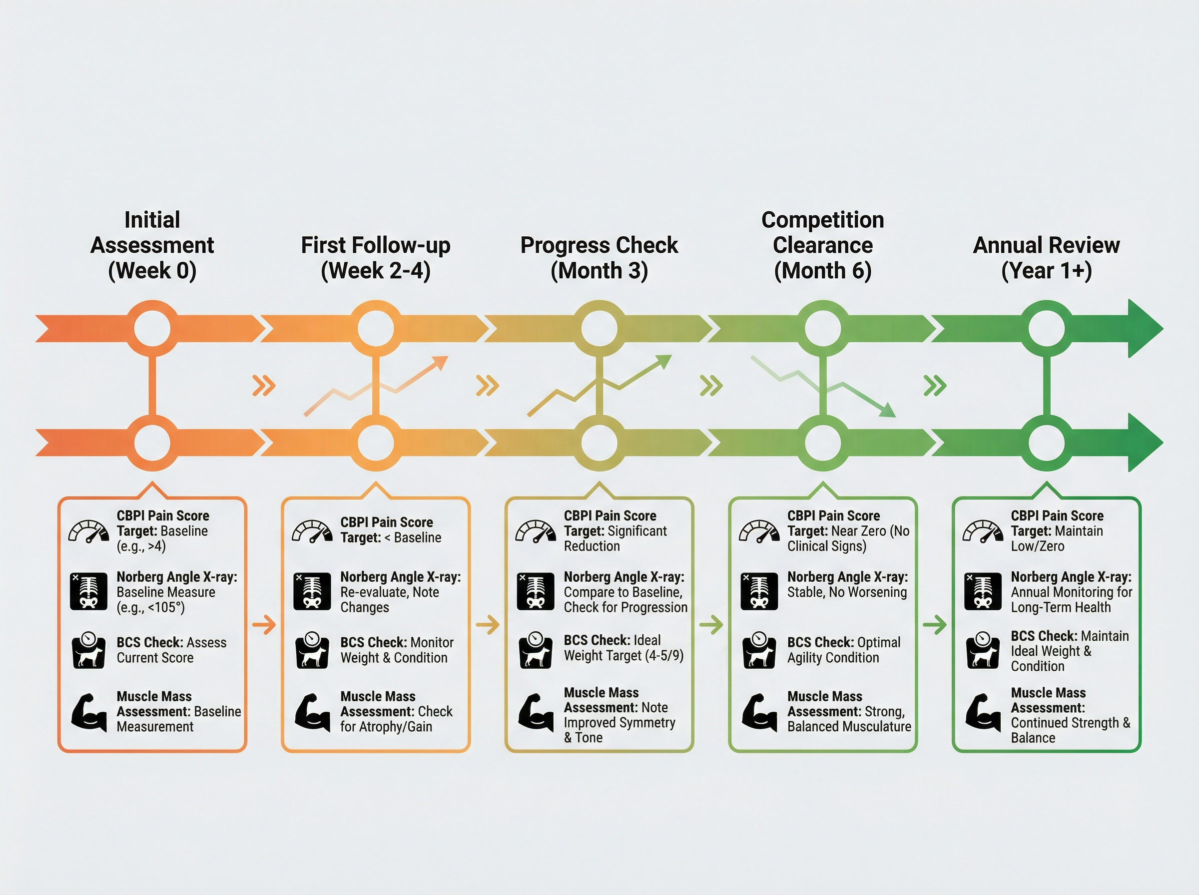 モニタリングのタイムライン