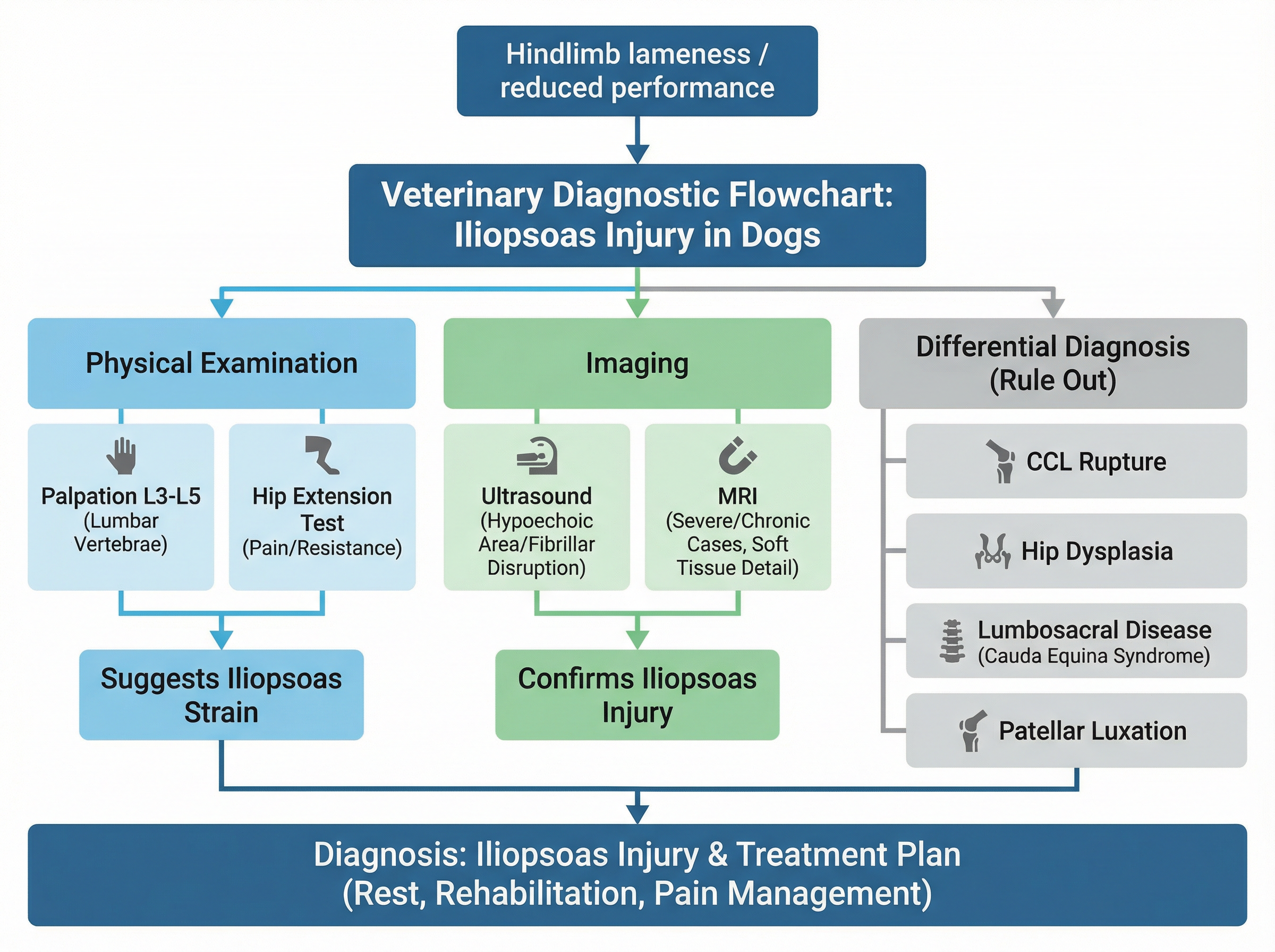診断フローチャート（触診・超音波・MRI・鑑別診断）