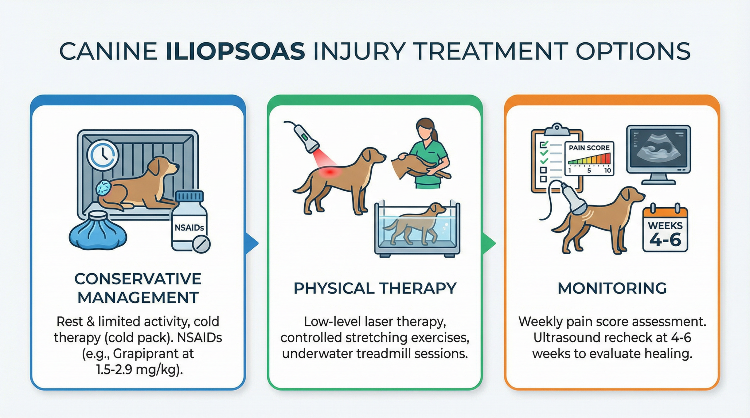 治療オプション3種（保存的管理・物理療法・モニタリング）