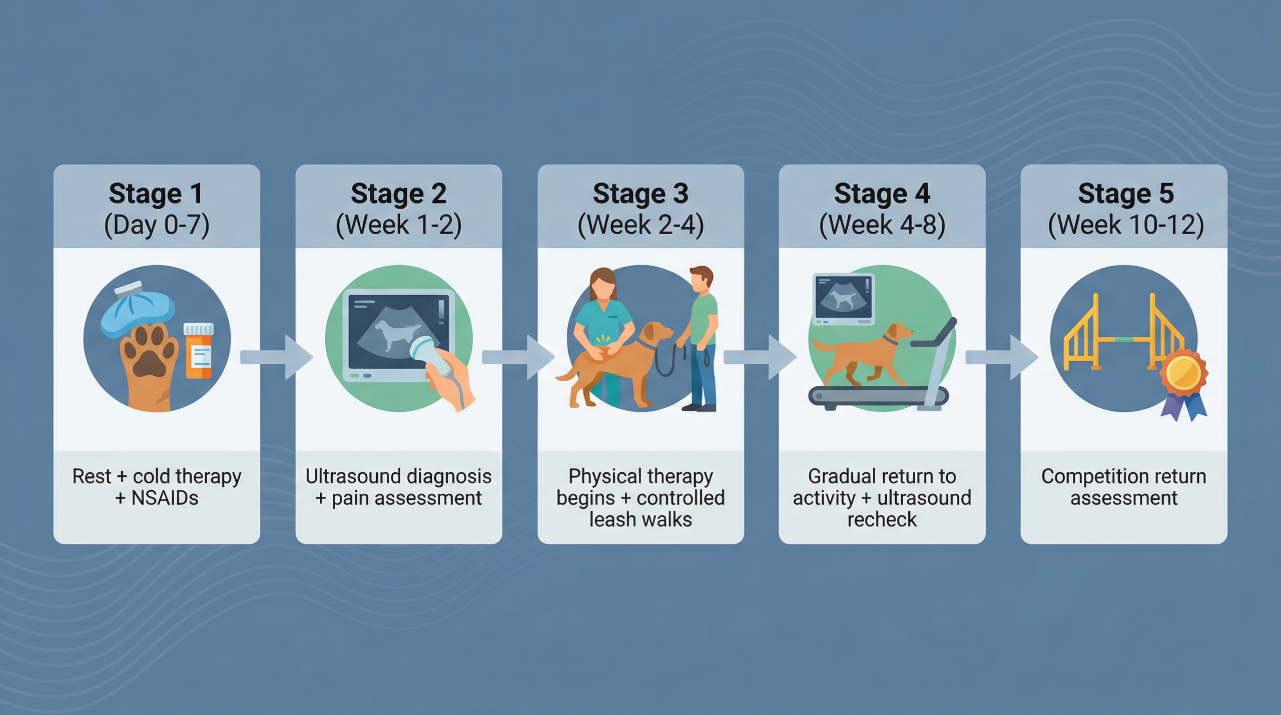 回復タイムライン（5段階・Day0〜Week10-12）