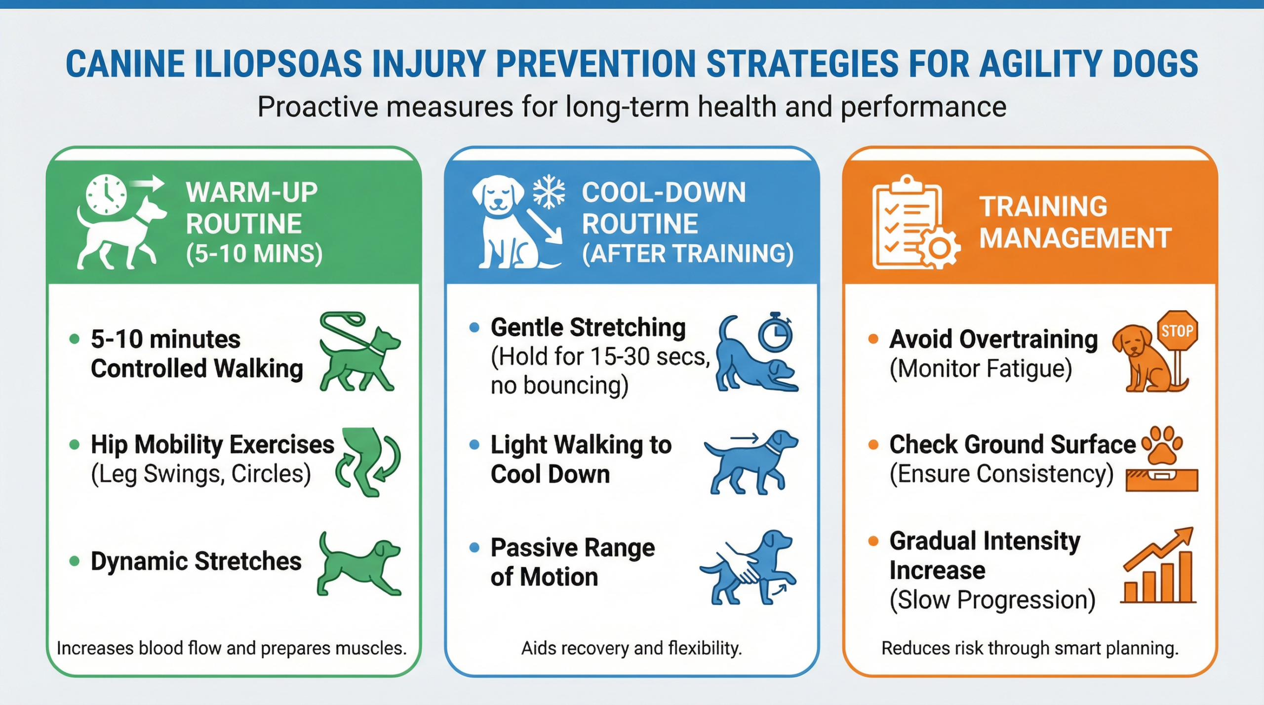 予防戦略（ウォームアップ・クールダウン・トレーニング管理）
