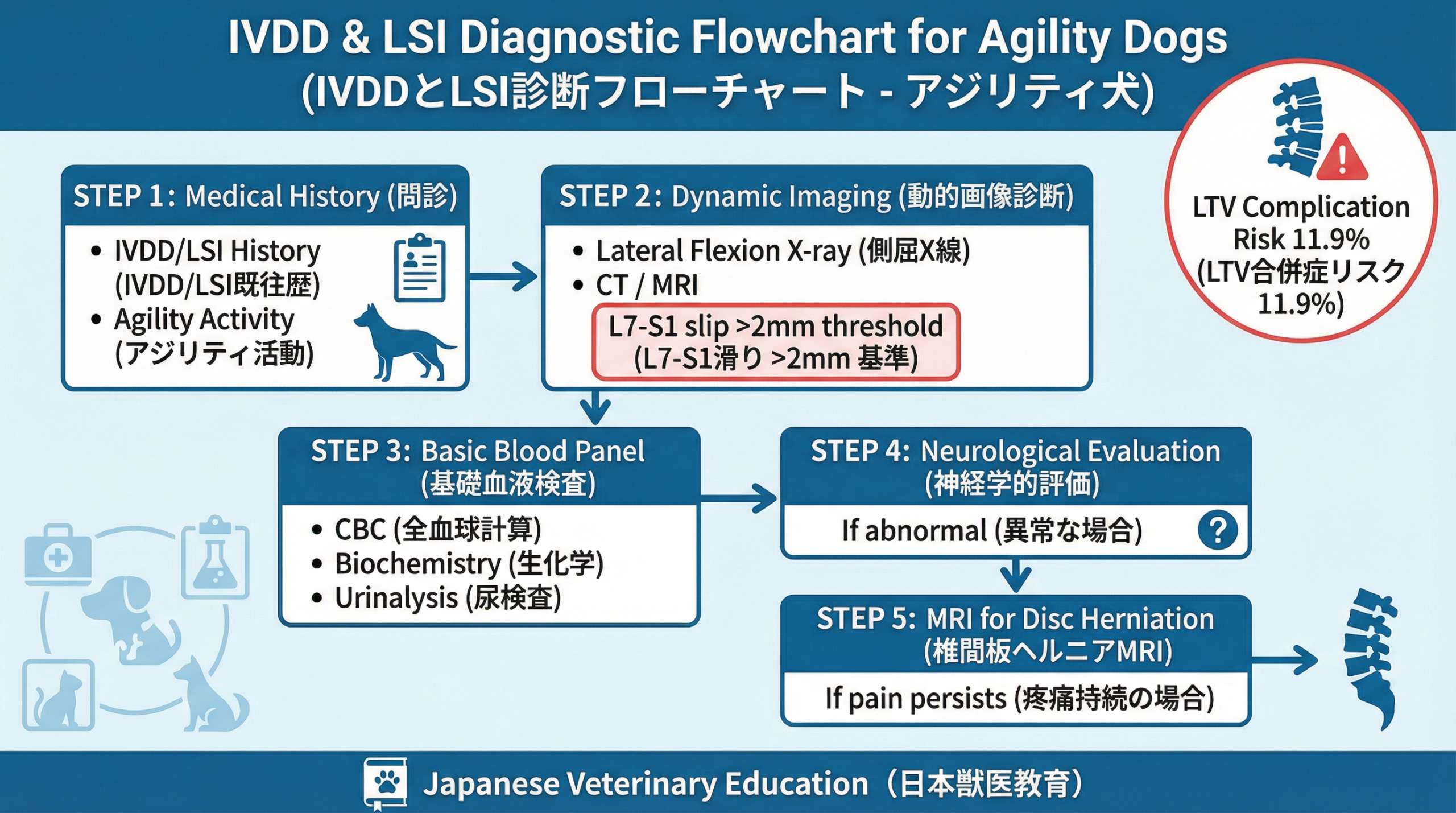 診断フローチャート（X線・CT・MRIによる評価）