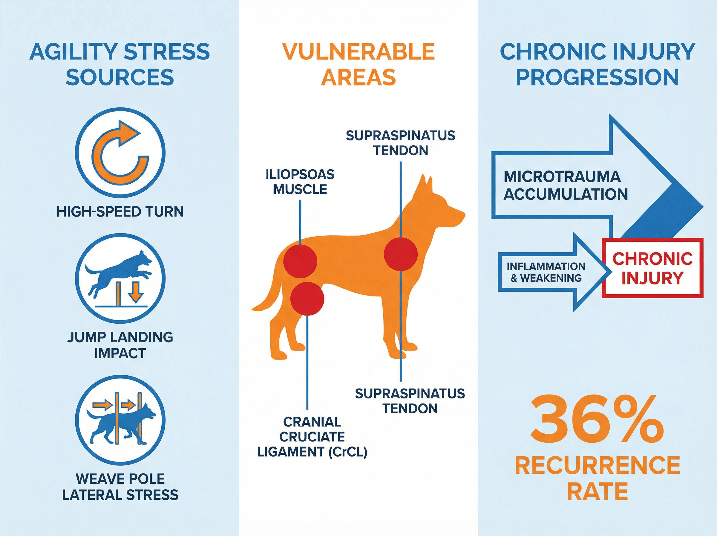 マイクロトラウマの蓄積メカニズムと慢性損傷への進行