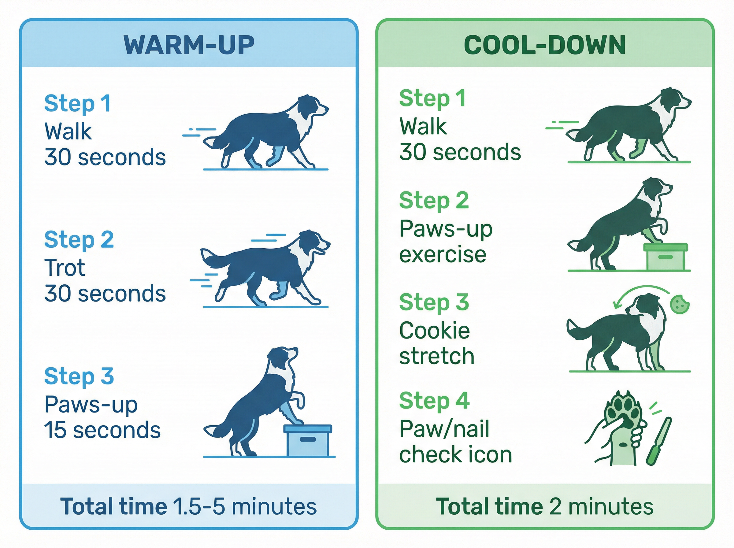 ウォームアップとクールダウンの詳細プロトコル