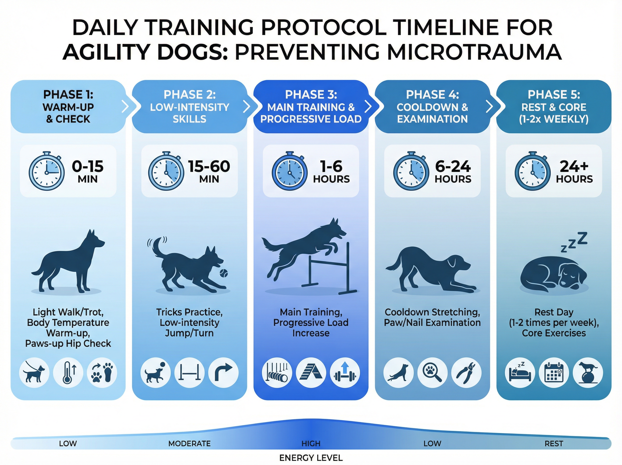 日々のトレーニングプロトコルタイムライン