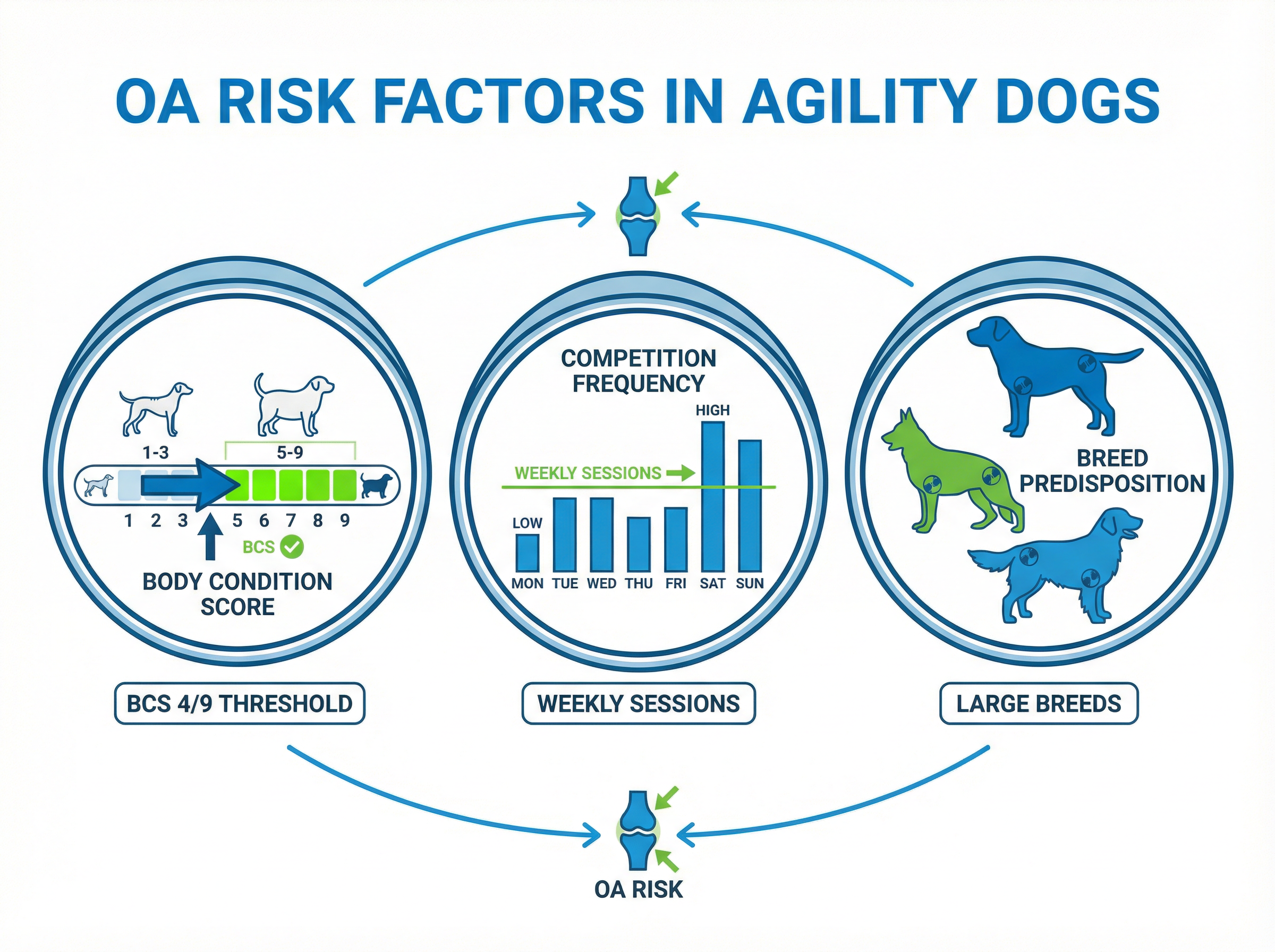 OAリスク因子インフォグラフィック（BCS・競技頻度・品種素因）
