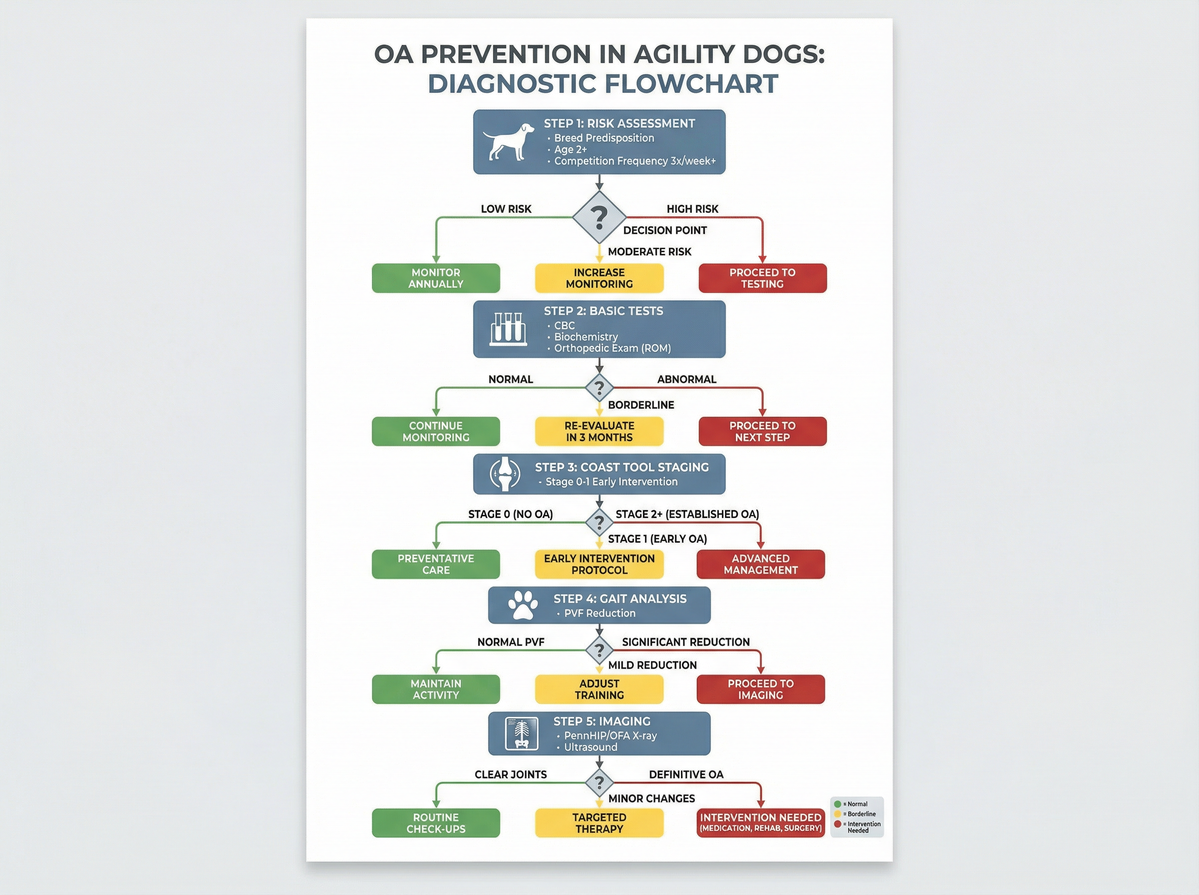 診断フローチャート（5ステップ・COASTツール・PennHIP/OFA・超音波）