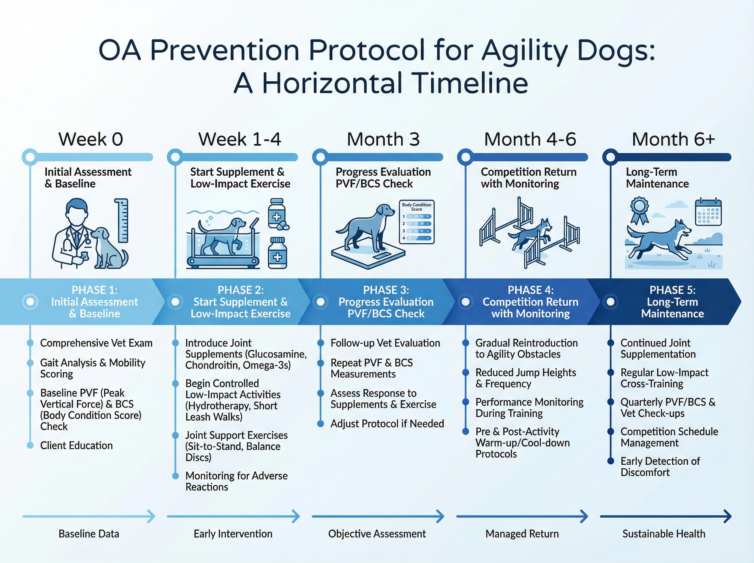 予防プロトコルタイムライン（5段階・Week0〜Month6+）