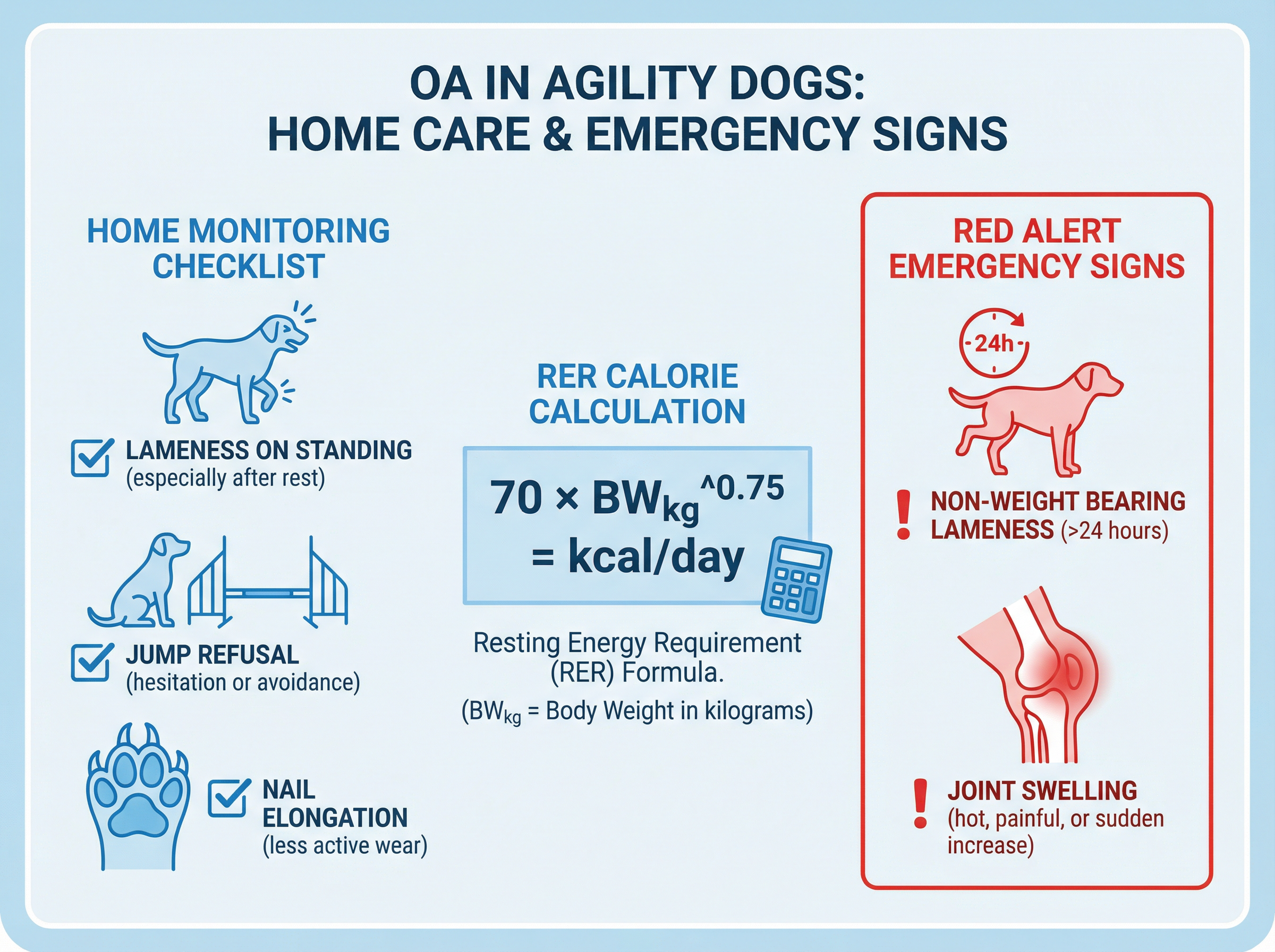 在宅ケアチェックリストと緊急警告サイン（RER計算式含む）