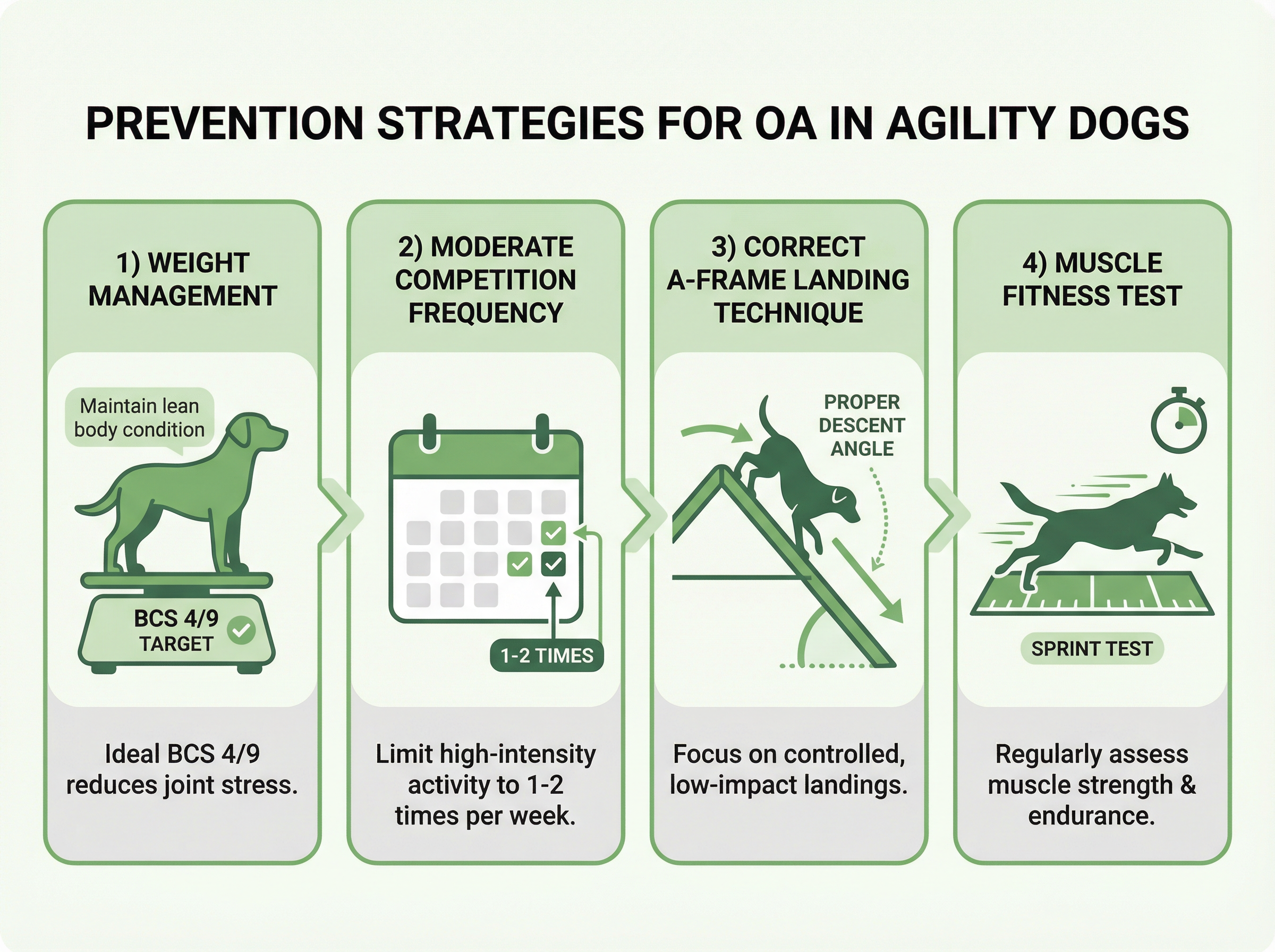 予防戦略4本柱（体重管理・競技頻度・Aフレーム着地・筋力テスト）