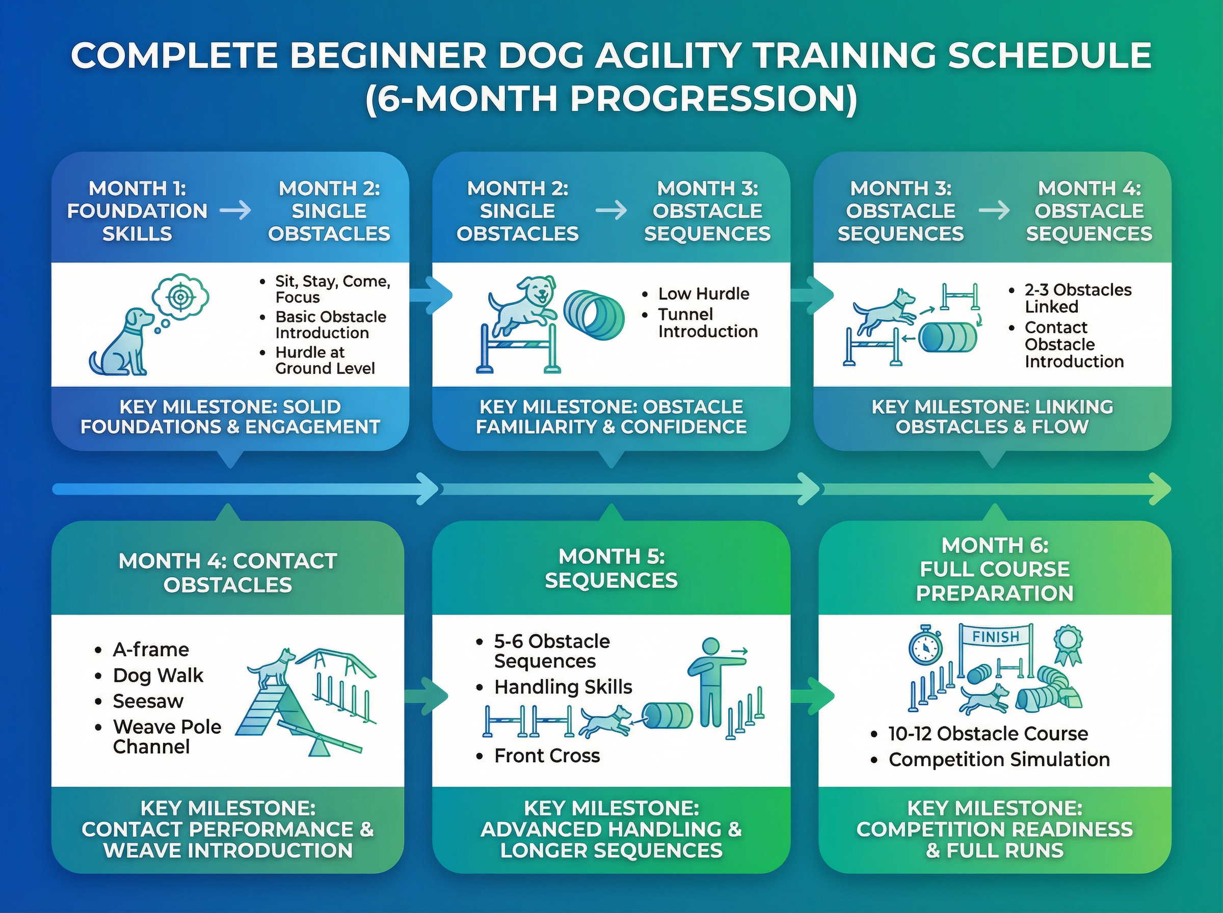 初心者向け6ヶ月トレーニングスケジュール