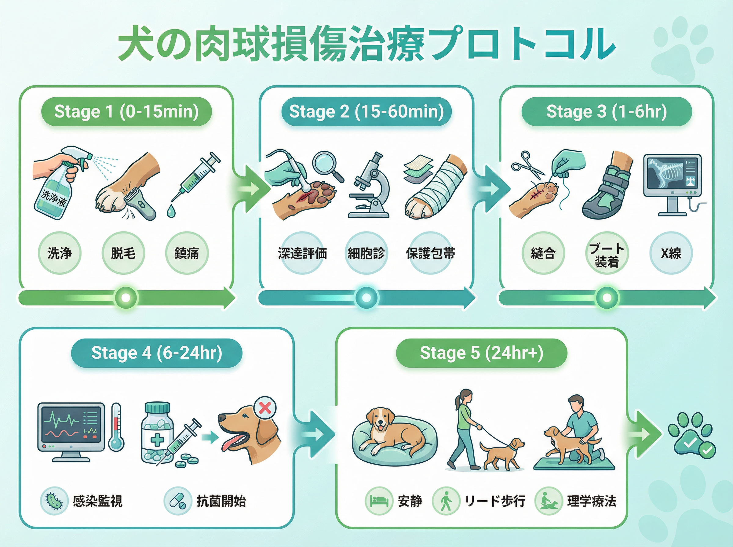 治療プロトコルのタイムライン（5段階）