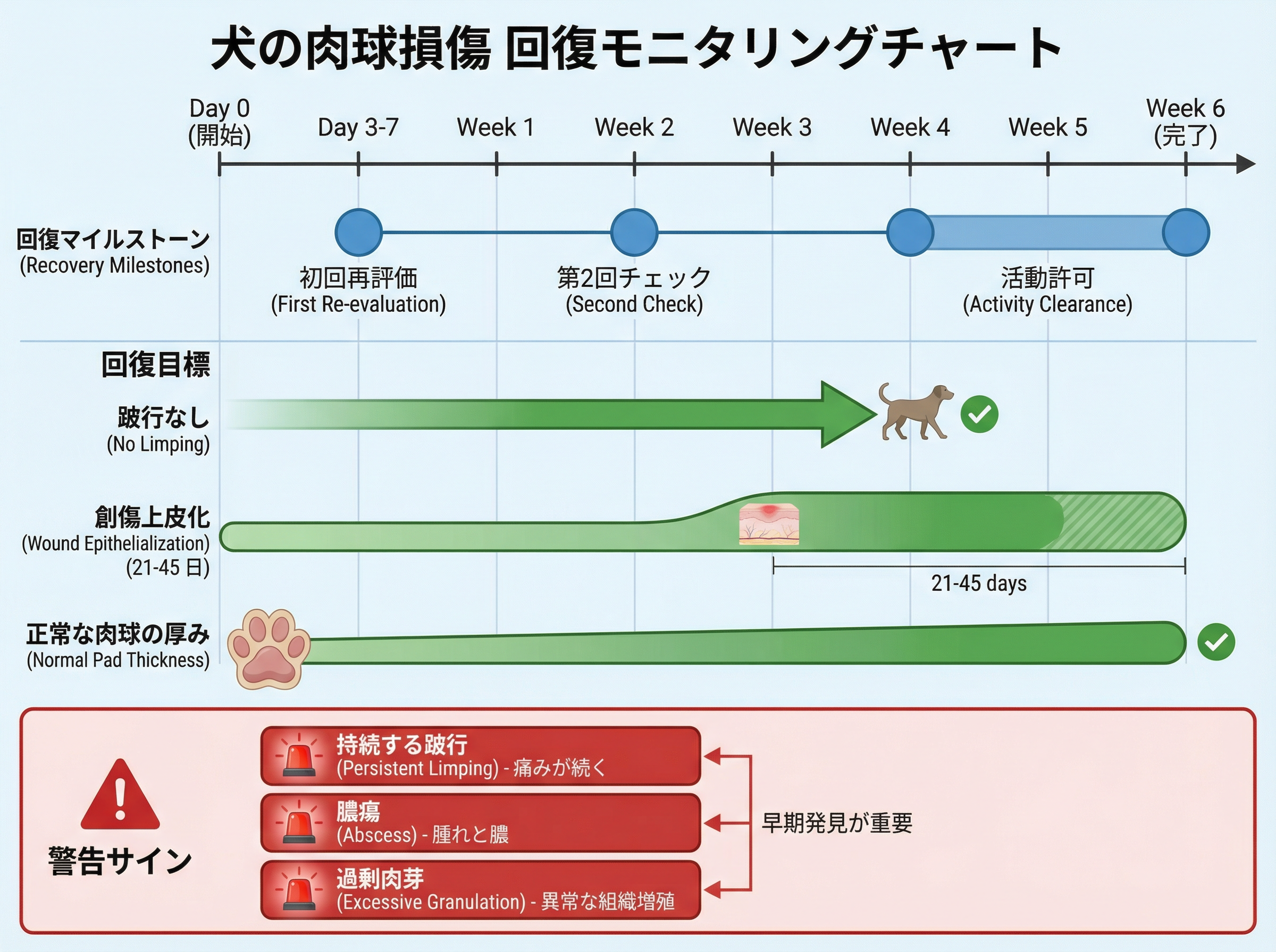 回復モニタリングチャート（6週間）