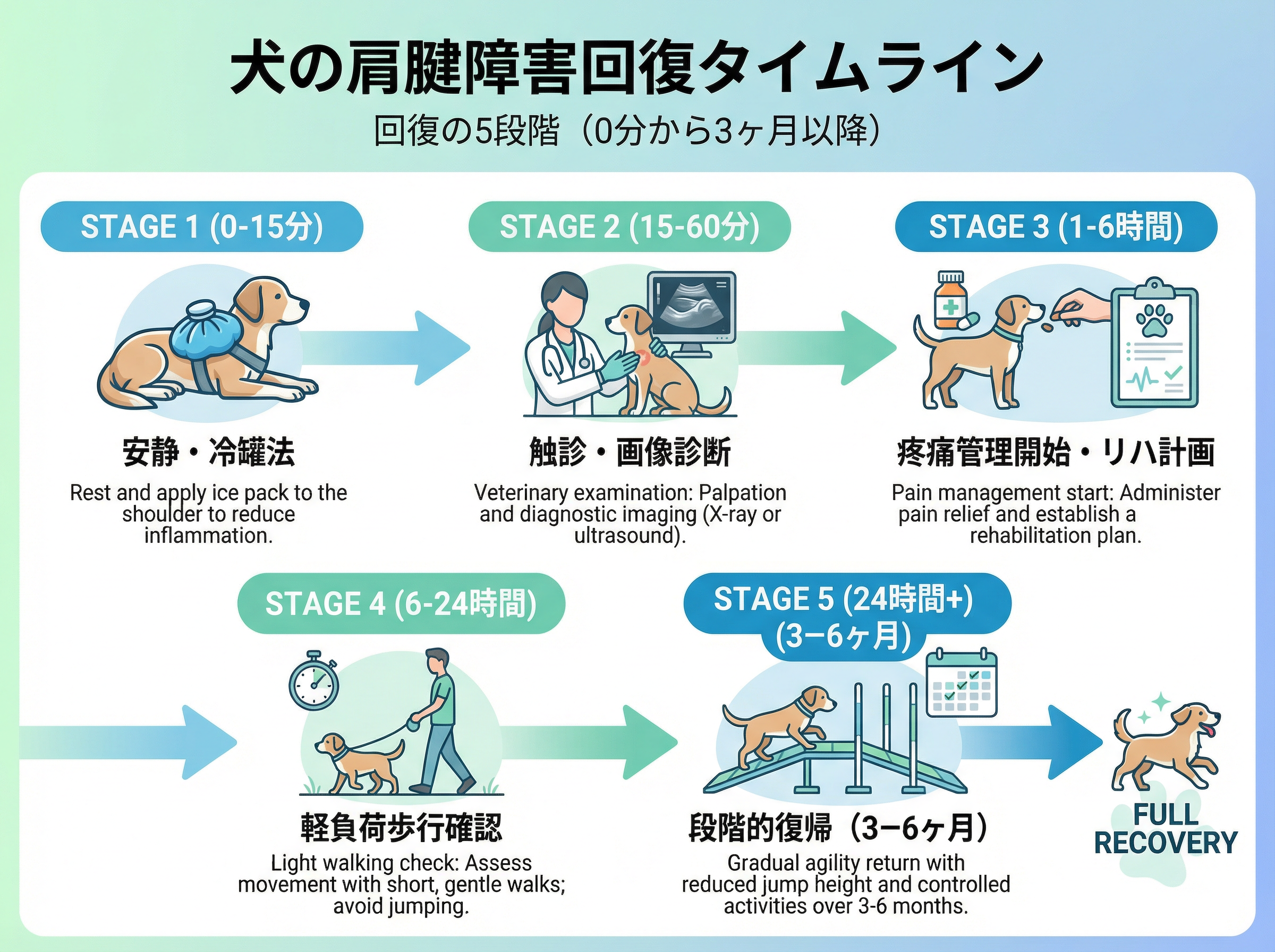 回復タイムライン：5段階の回復プロセス