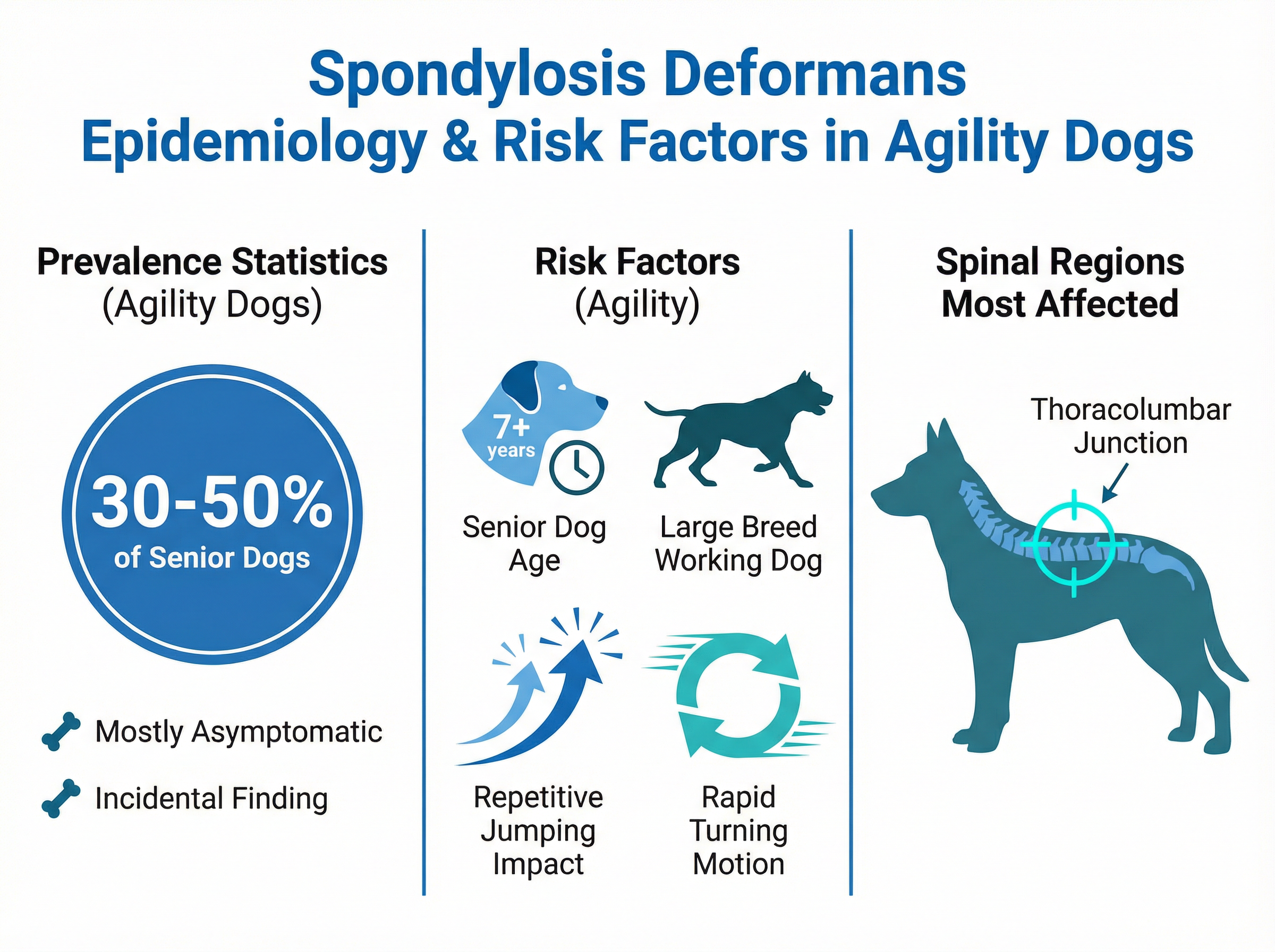 変形性脊椎症の疫学とリスク因子