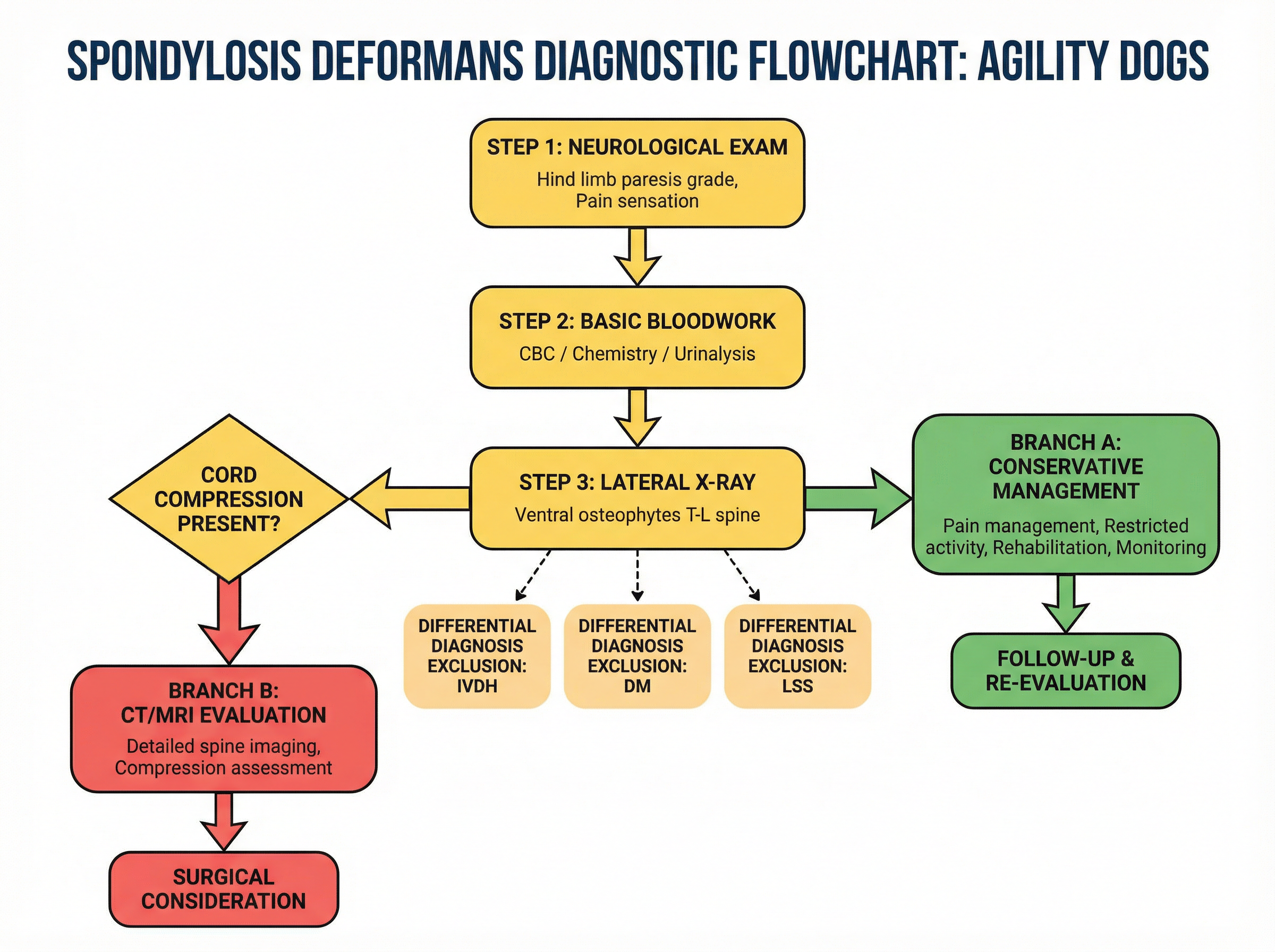 変形性脊椎症の診断フローチャート