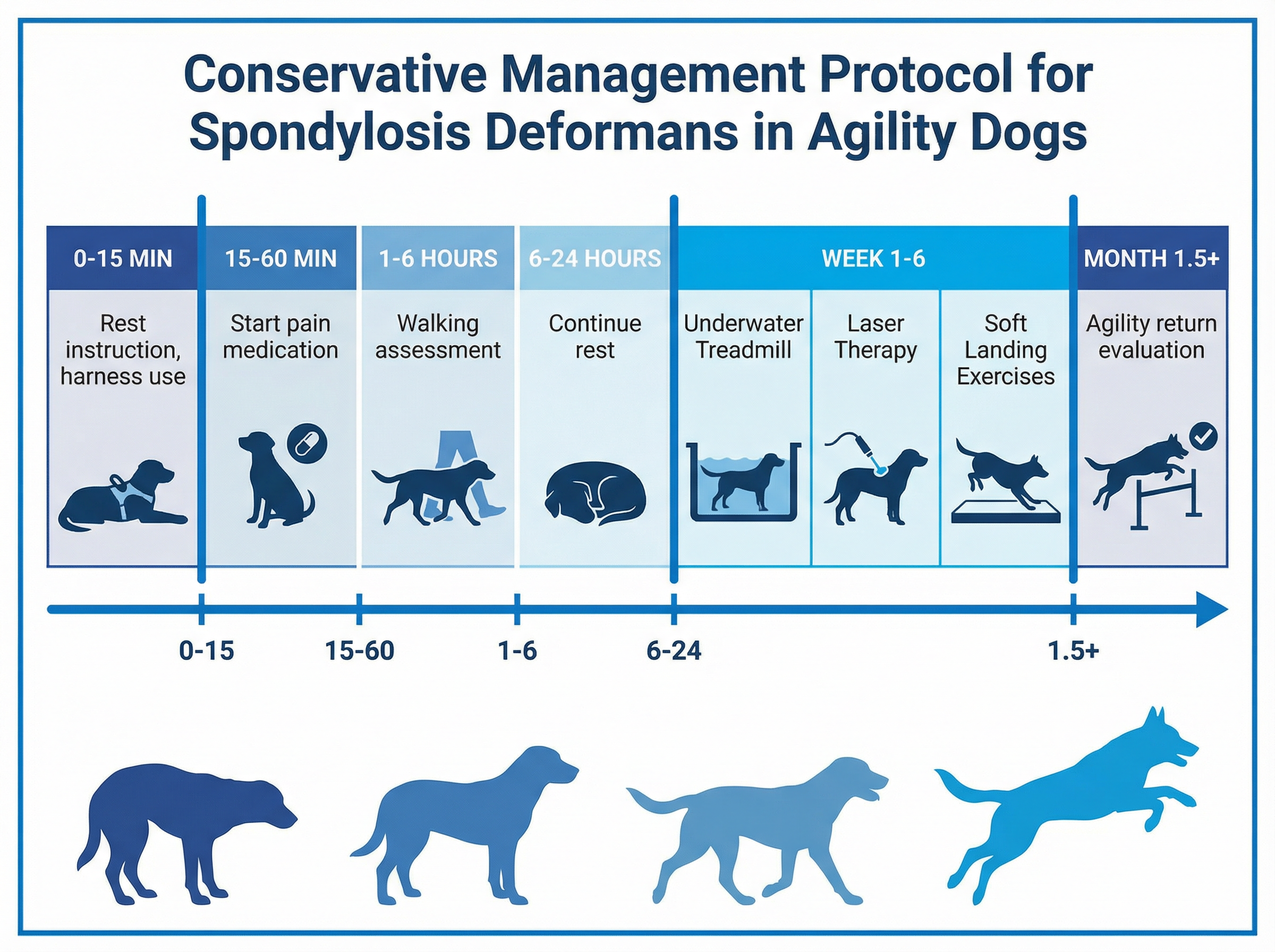 保存的療法のプロトコル