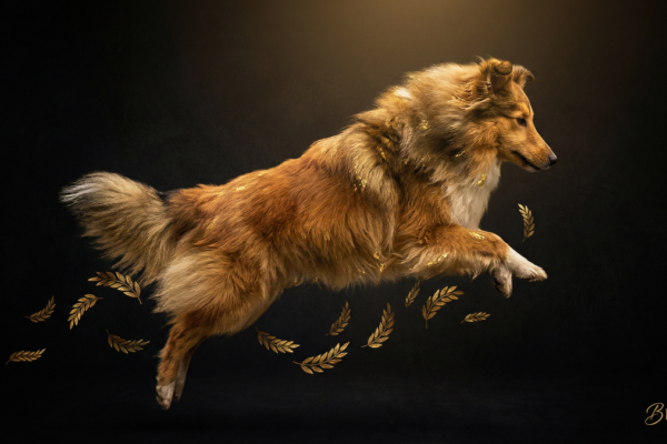 アジリティのゴール前タイムロスを防ぐ3つのテクニック｜最後の数秒が勝敗を分ける