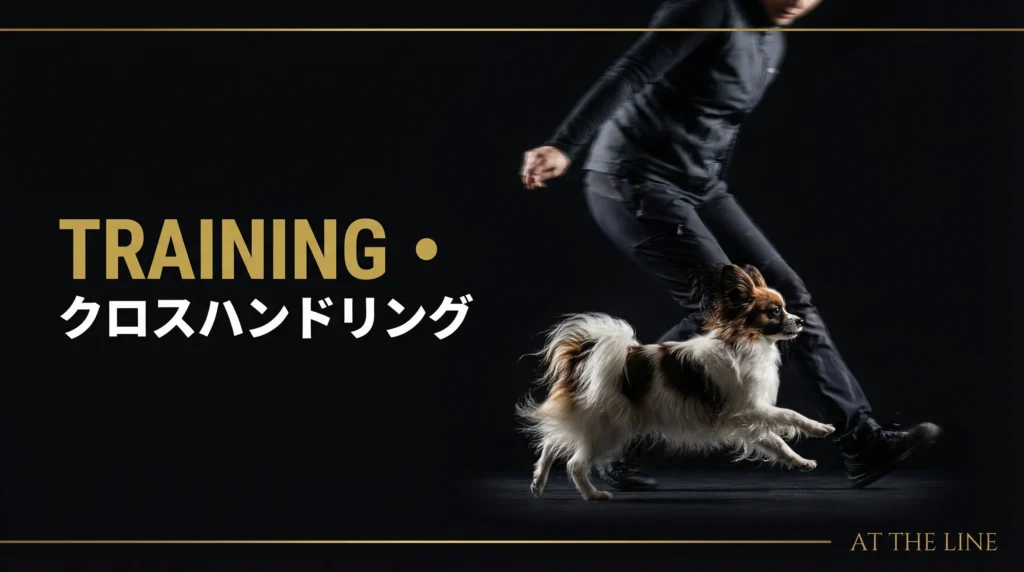 ドッグアジリティの歴史と進化｜1978年の誕生から日本の現状まで