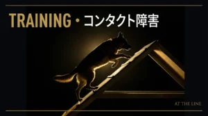 ドッグアジリティで犬の社会化｜他の犬と落ち着ける3ステップ